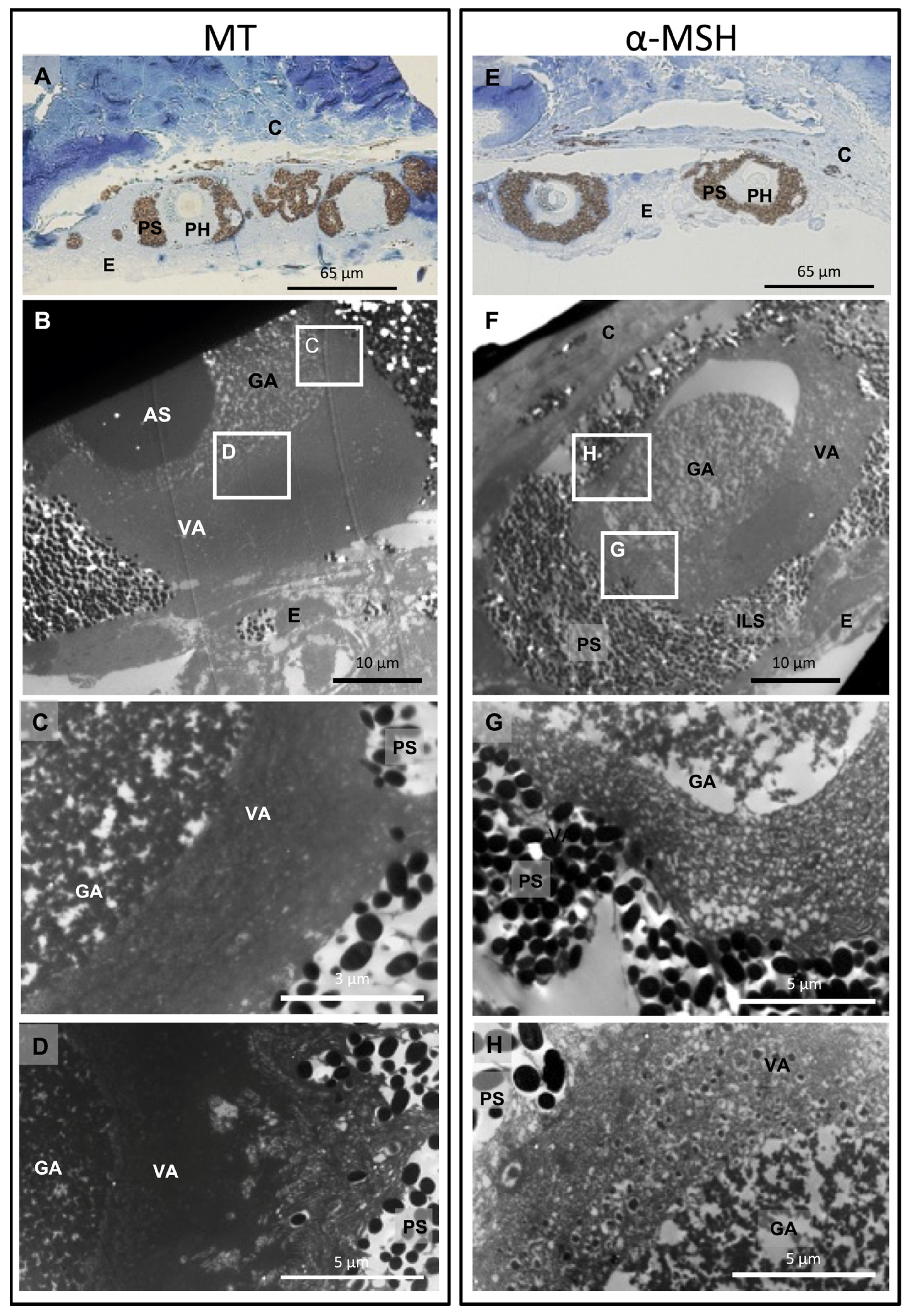 Fishes 08 00087 g002 Fishes 08 00087 g002