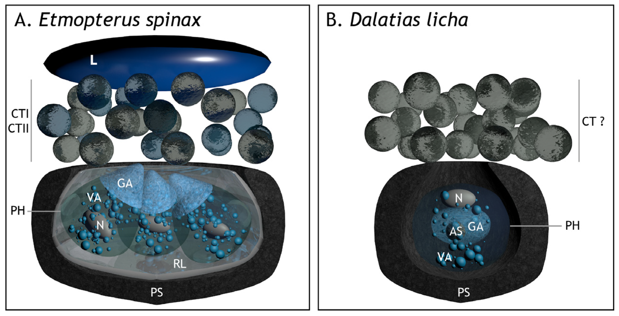 Fishes 08 00087 g004 Fishes 08 00087 g004