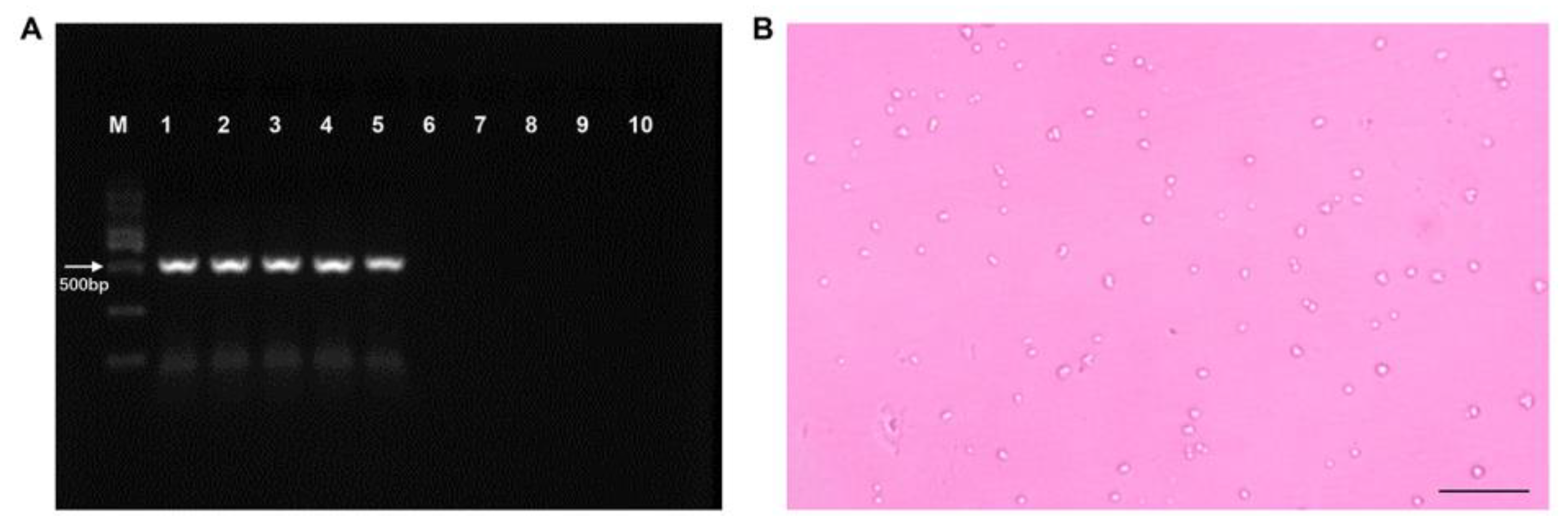 Fishes 08 00092 g001