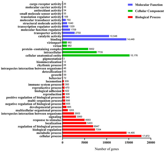 Transcriptomic Analysis and Functional Gene Expression in