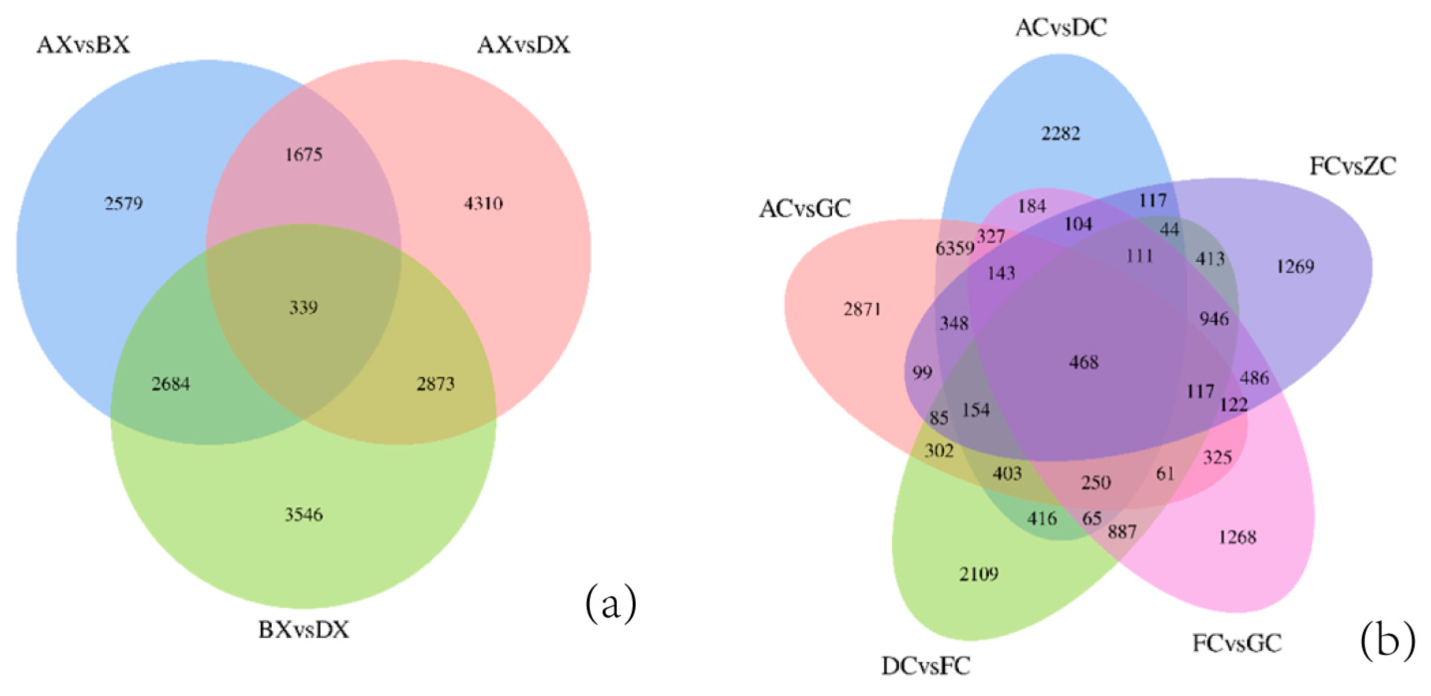 Fishes 08 00094 g005a Fishes 08 00094 g005a