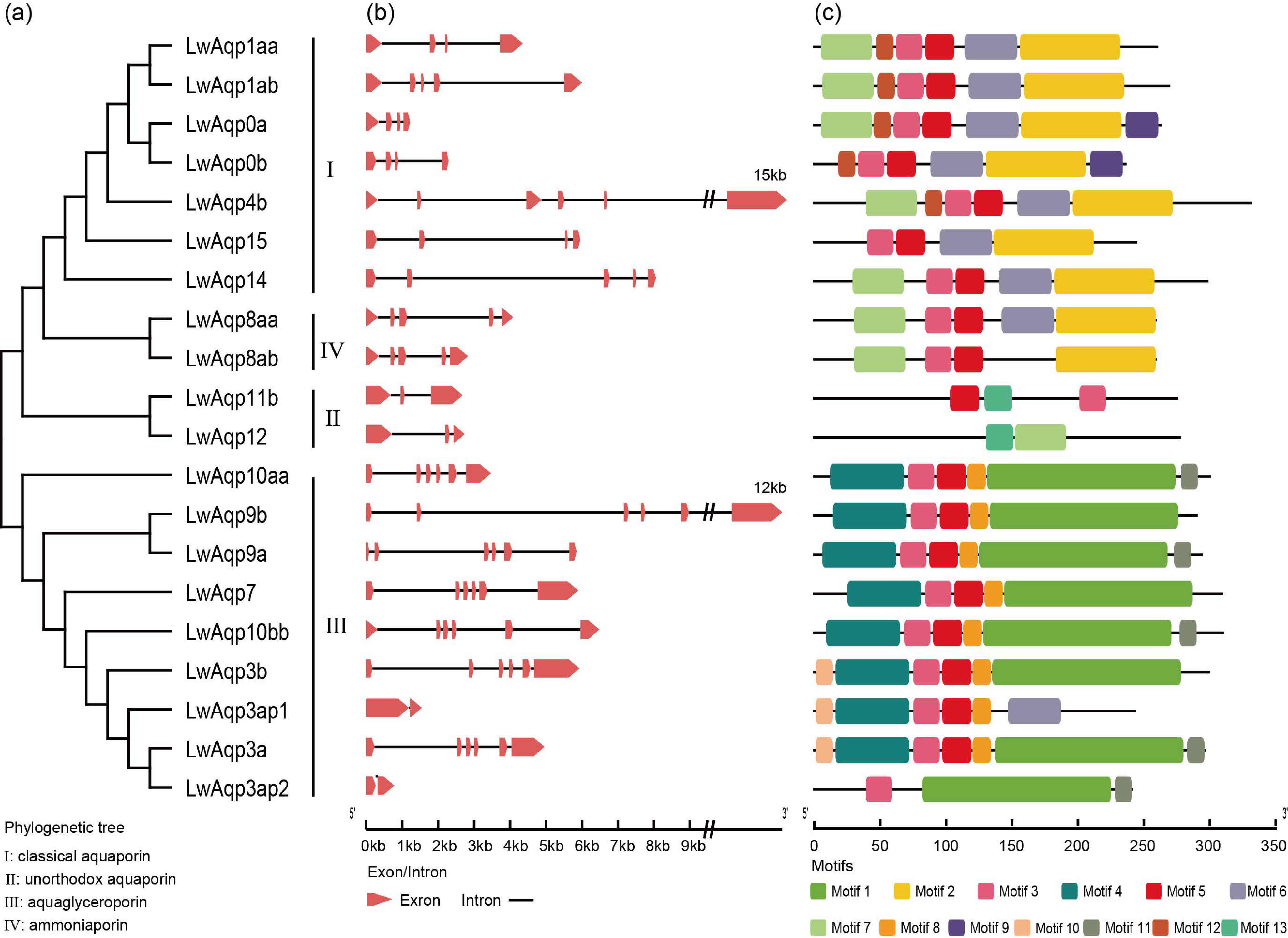 Fishes 08 00107 g003 550