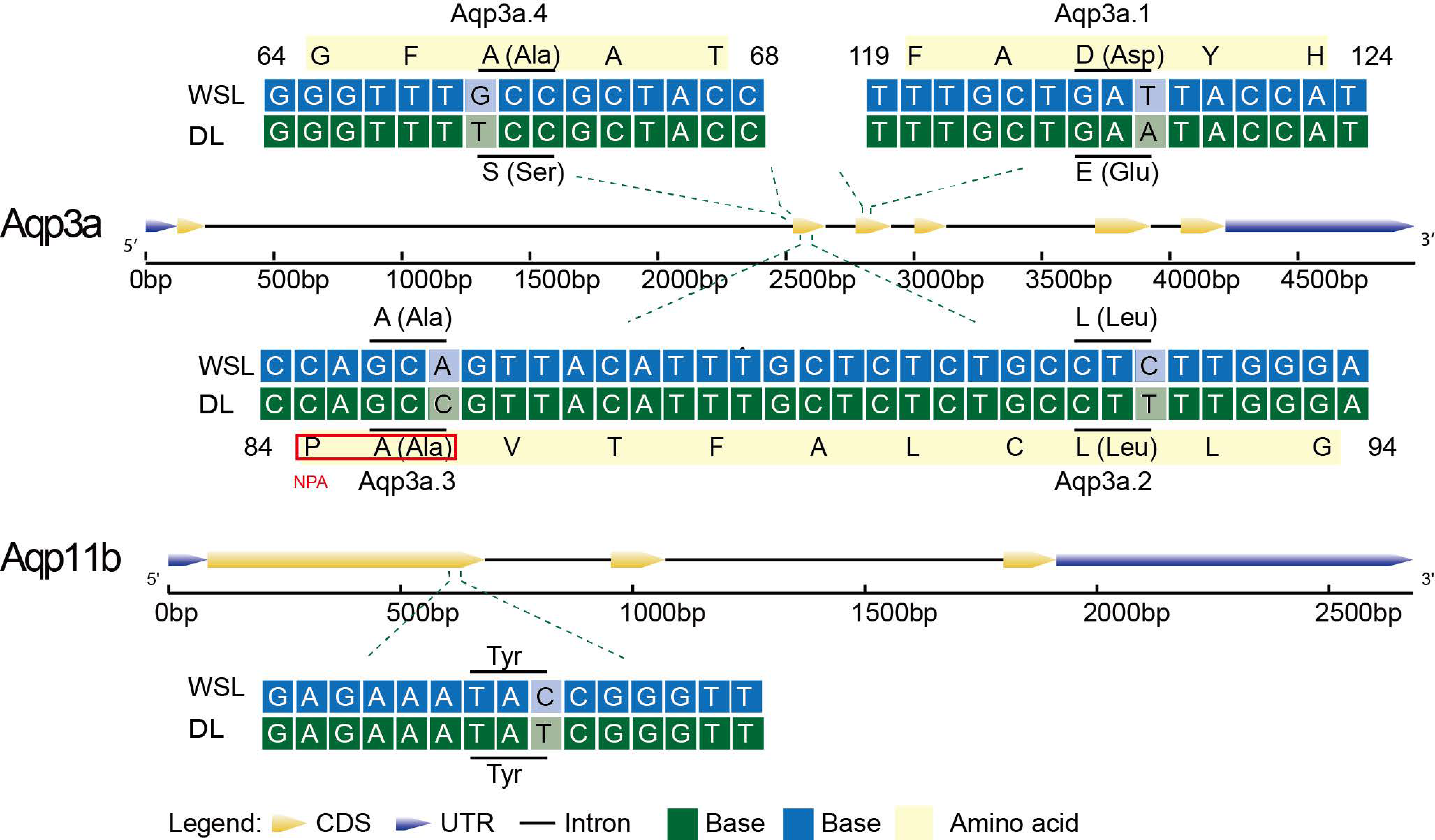 Fishes 08 00107 g008 550
