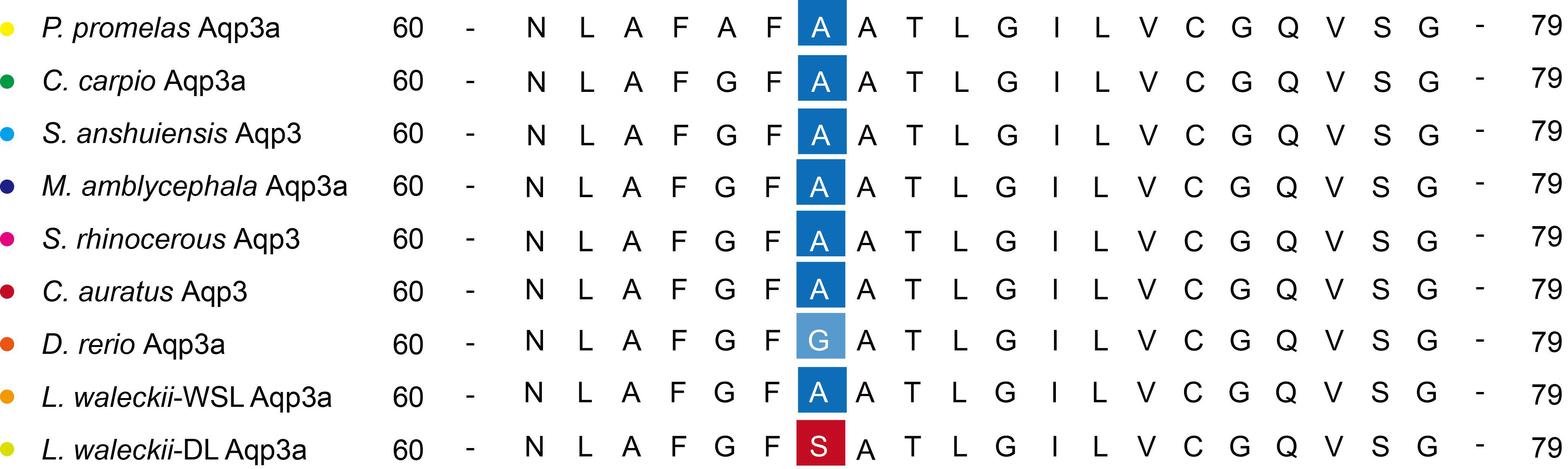 Fishes 08 00107 g009 550