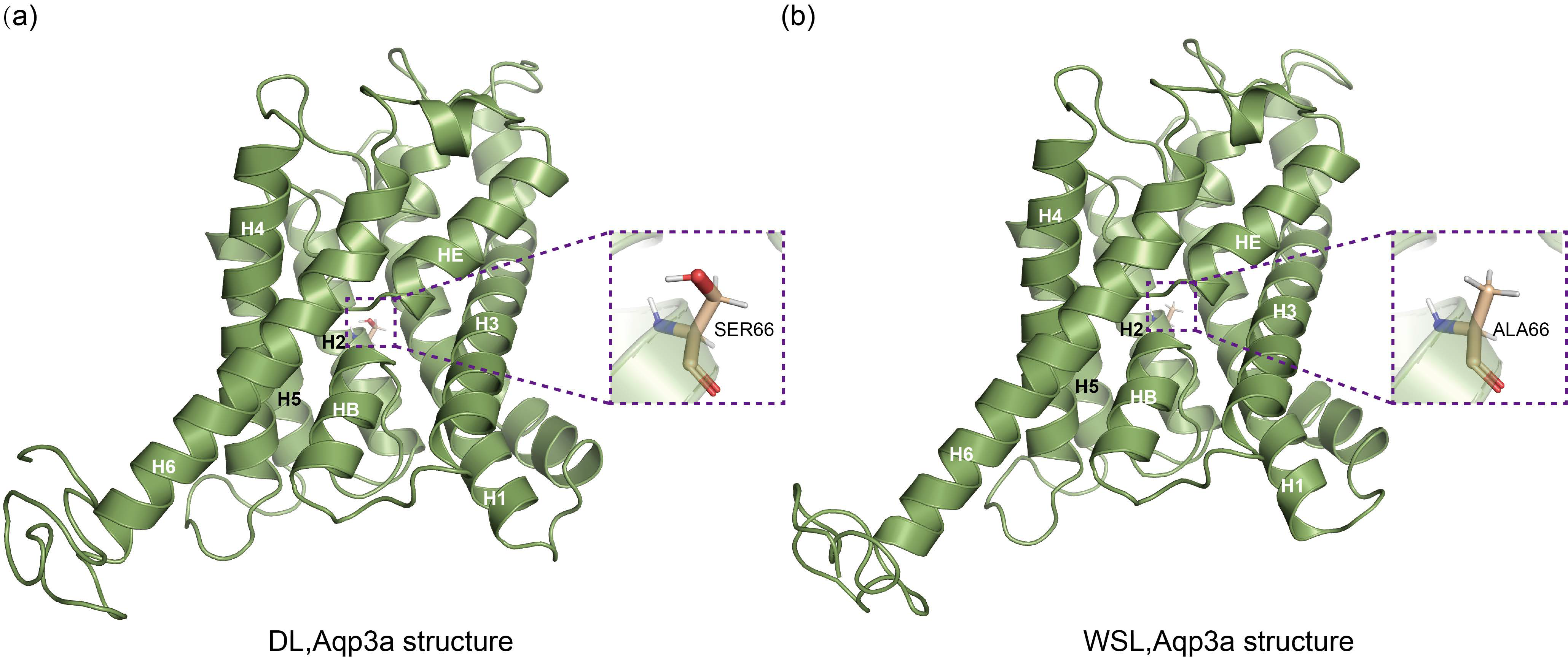 Fishes 08 00107 g010 550