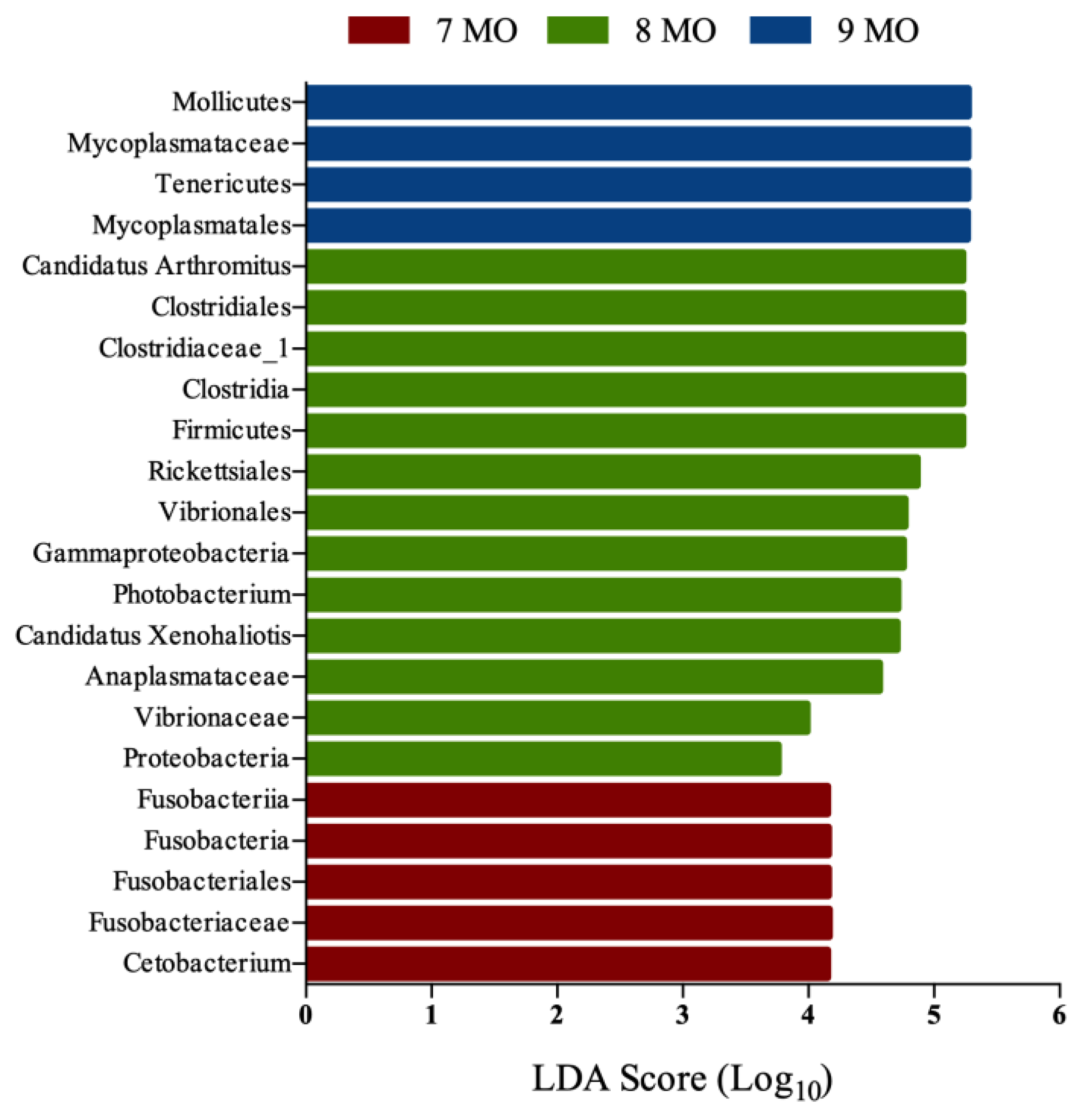 Fishes 08 00109 g002 Fishes 08 00109 g002