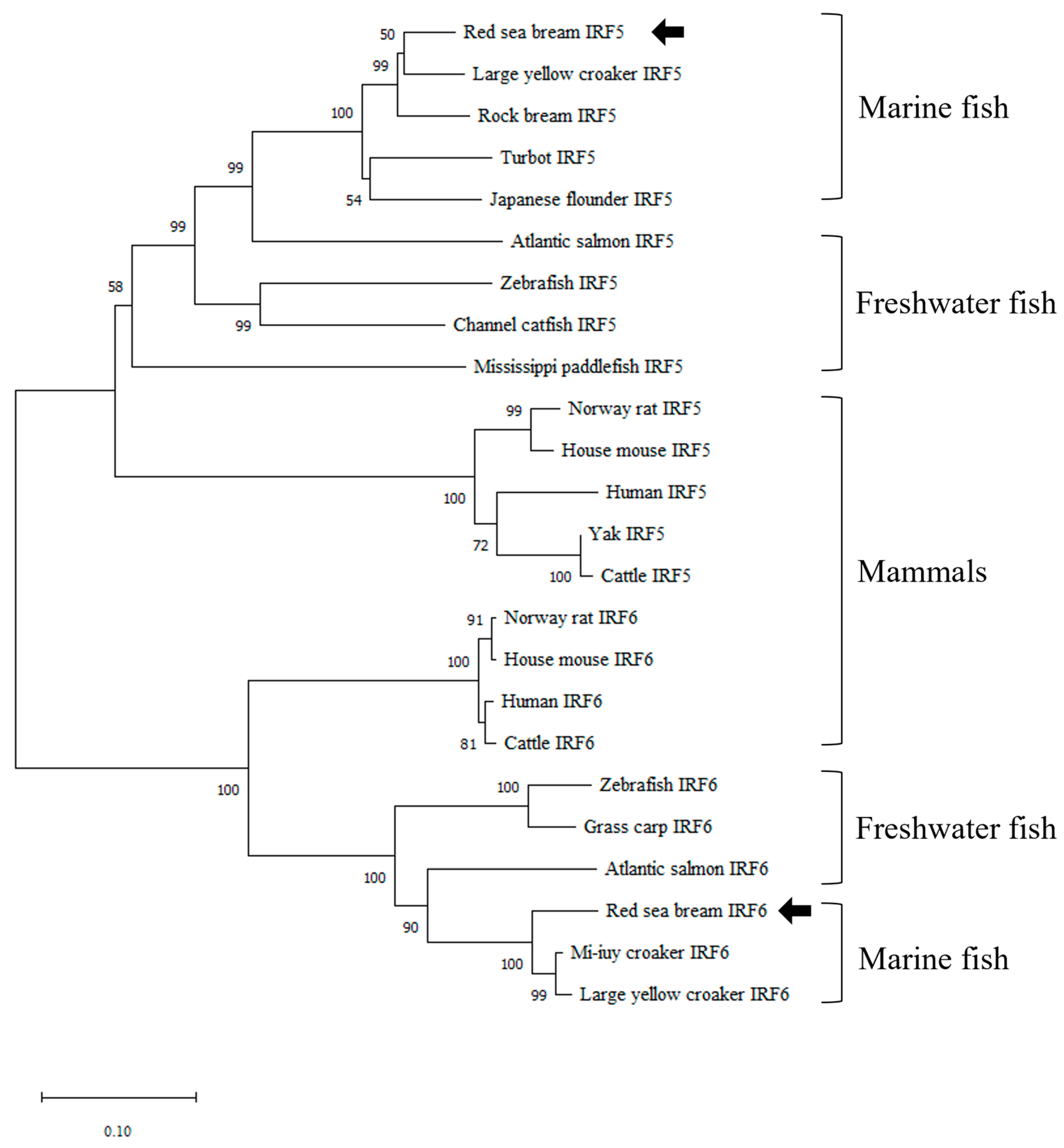 Fishes 08 00114 g002 Fishes 08 00114 g002