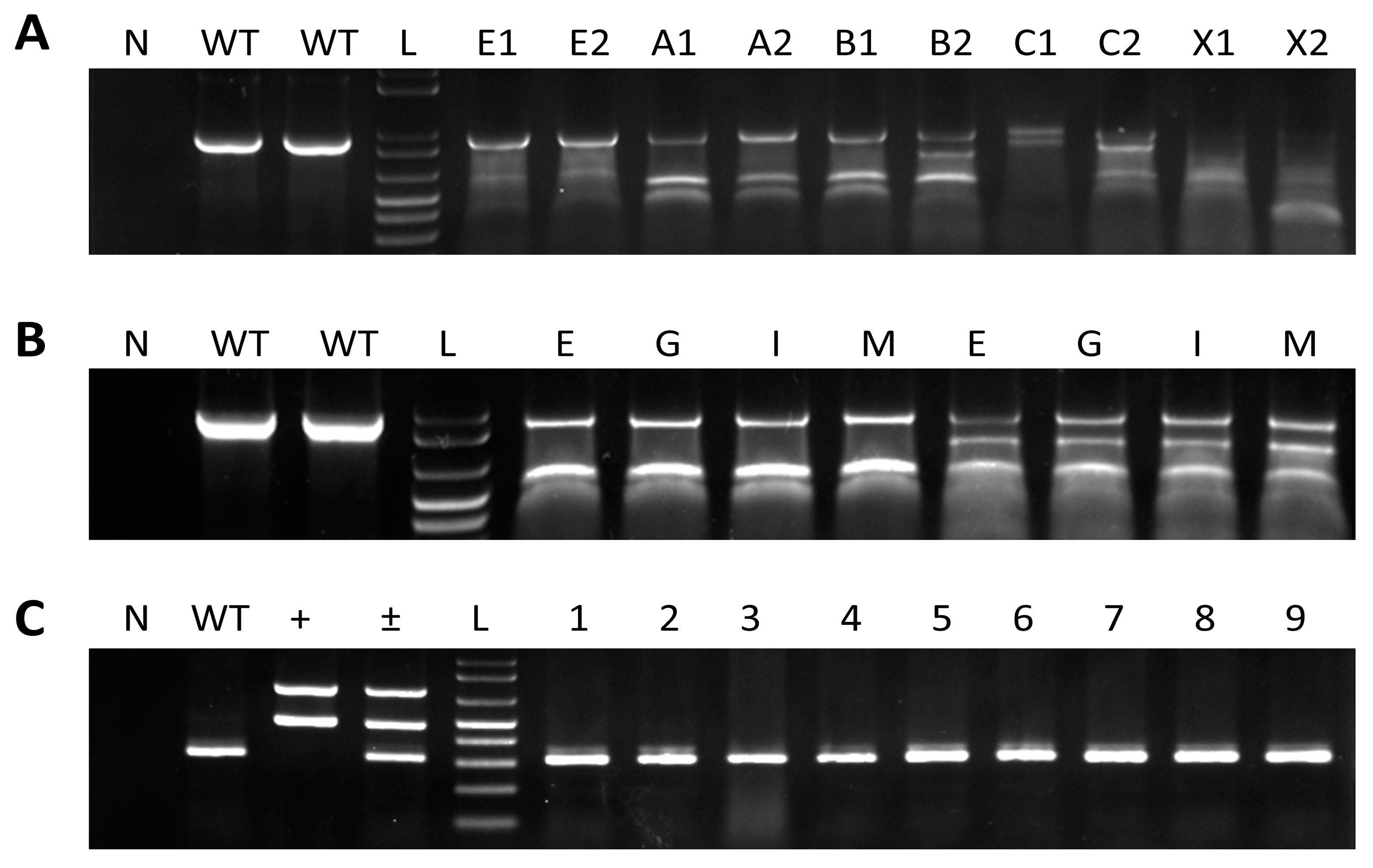 Fishes 08 00116 g002