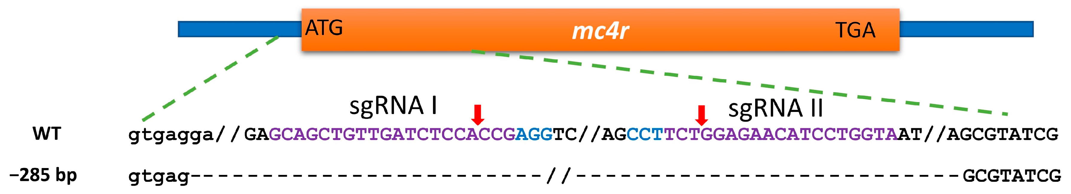 Fishes 08 00116 g003 Fishes 08 00116 g003