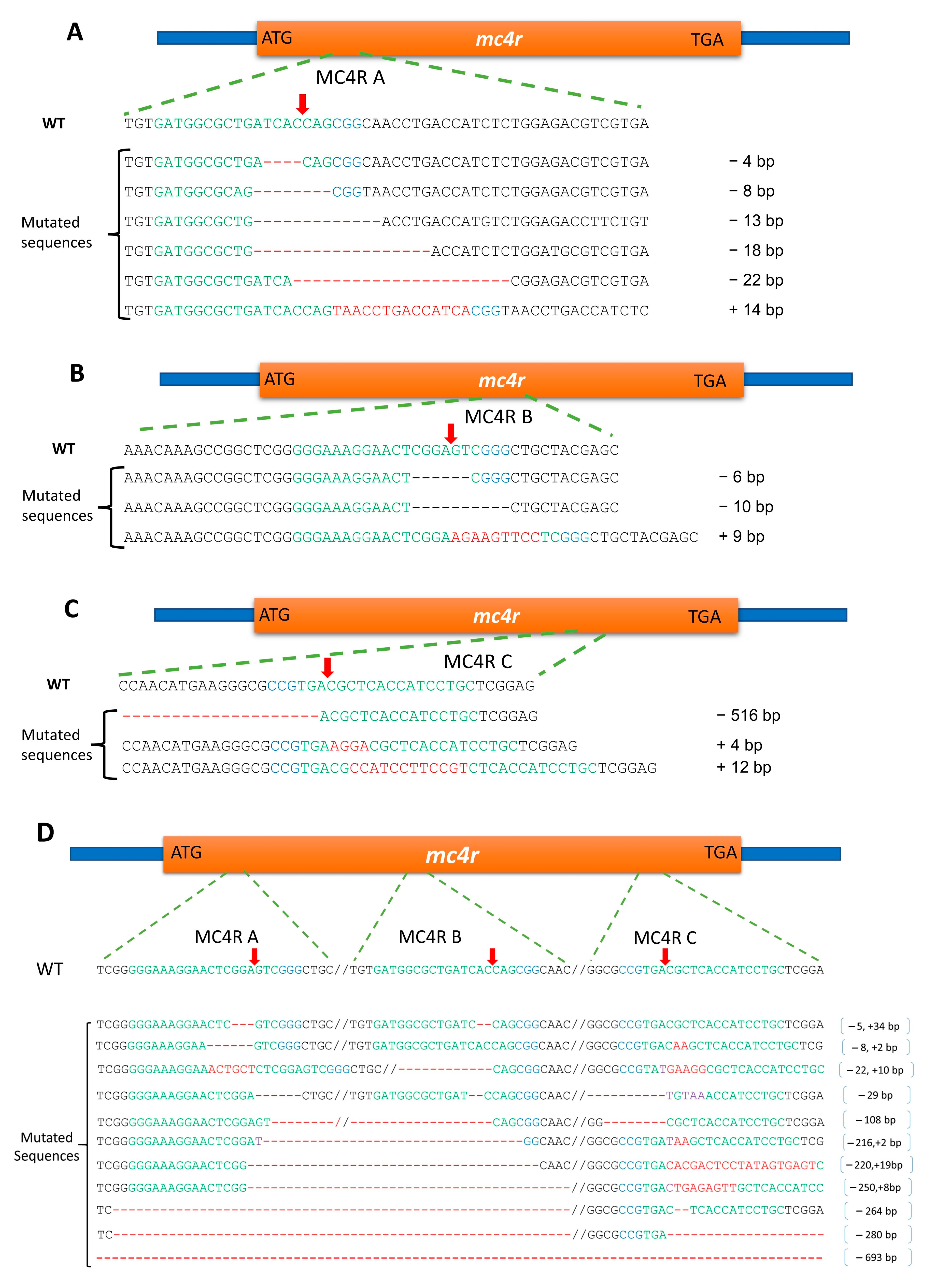Fishes 08 00116 g006 Fishes 08 00116 g006