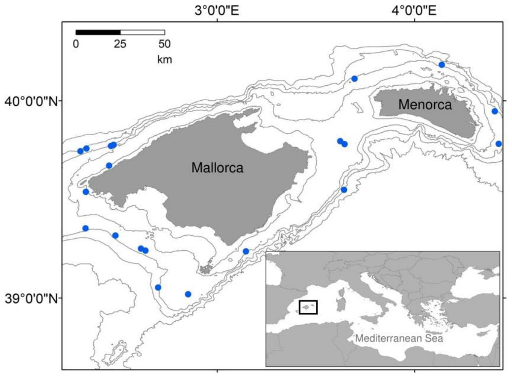 Fishes 08 00117 g001 Fishes 08 00117 g001