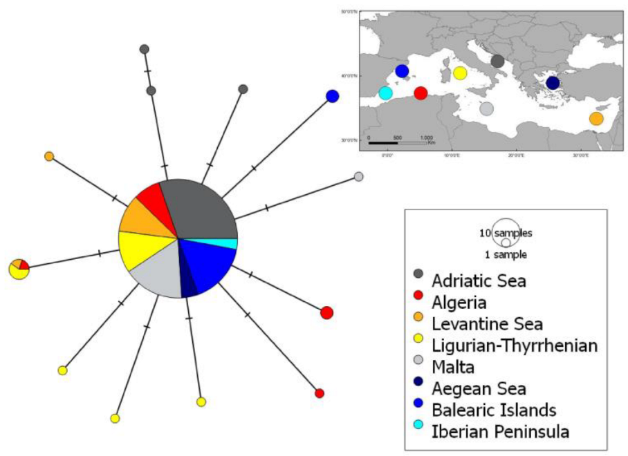 Fishes 08 00117 g004 Fishes 08 00117 g004