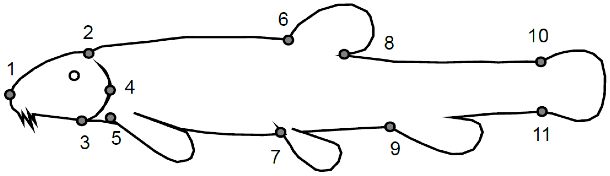 Fishes 08 00119 g002 Fishes 08 00119 g002