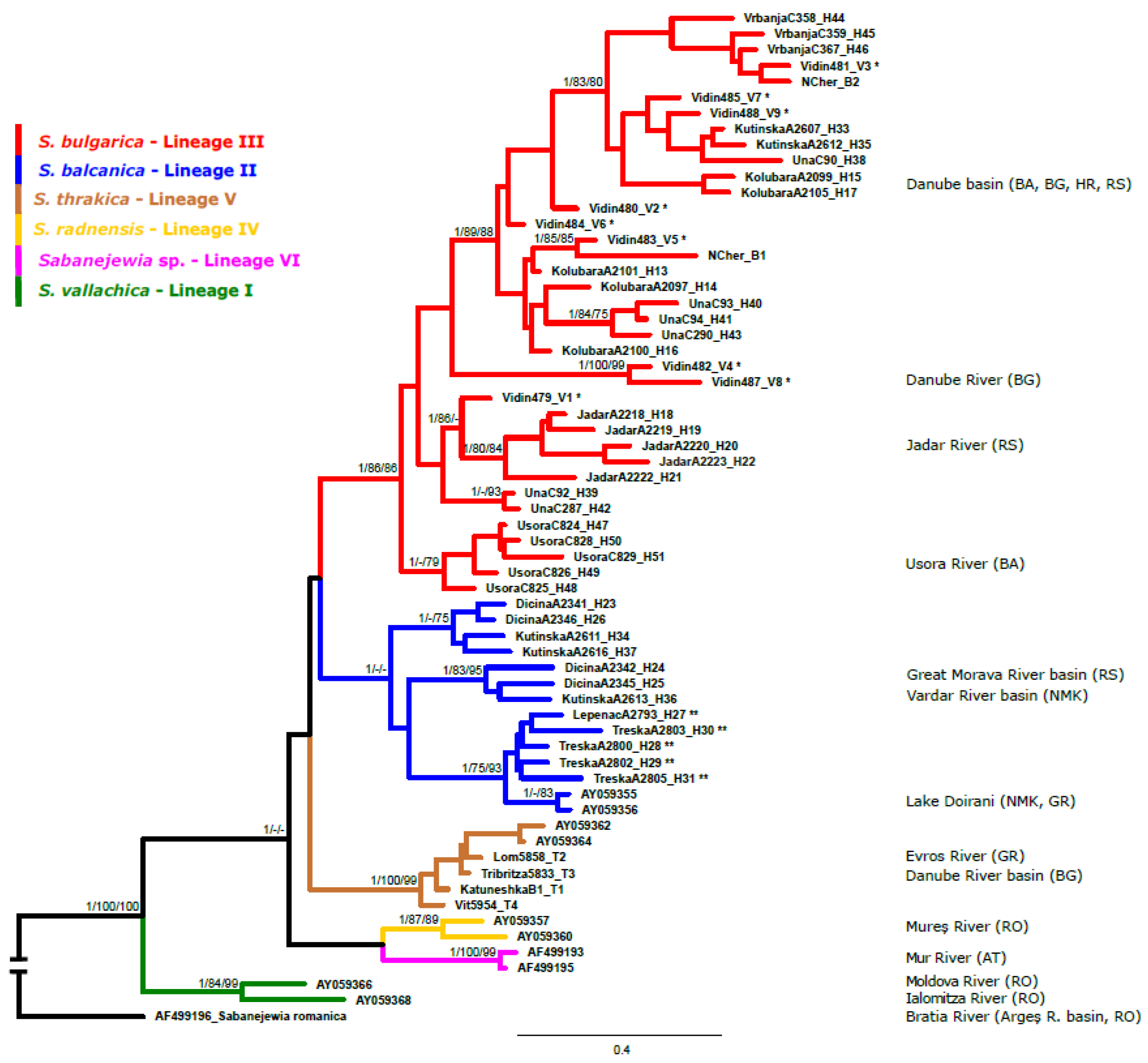Fishes 08 00119 g005 Fishes 08 00119 g005