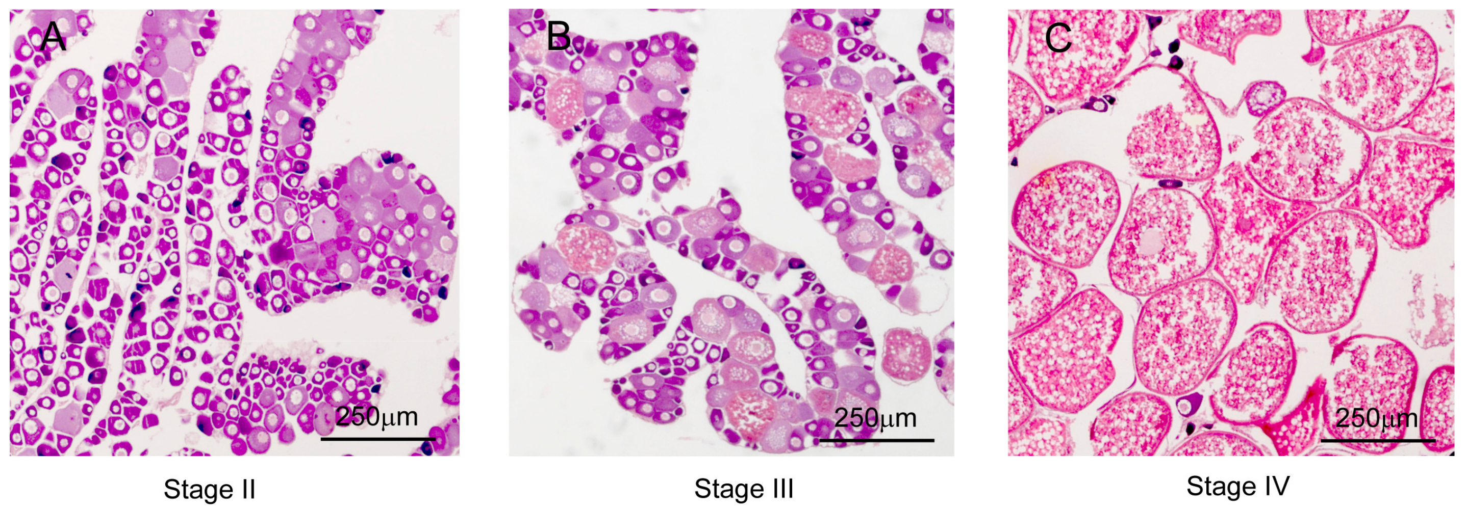Fishes 08 00120 g001 Fishes 08 00120 g001