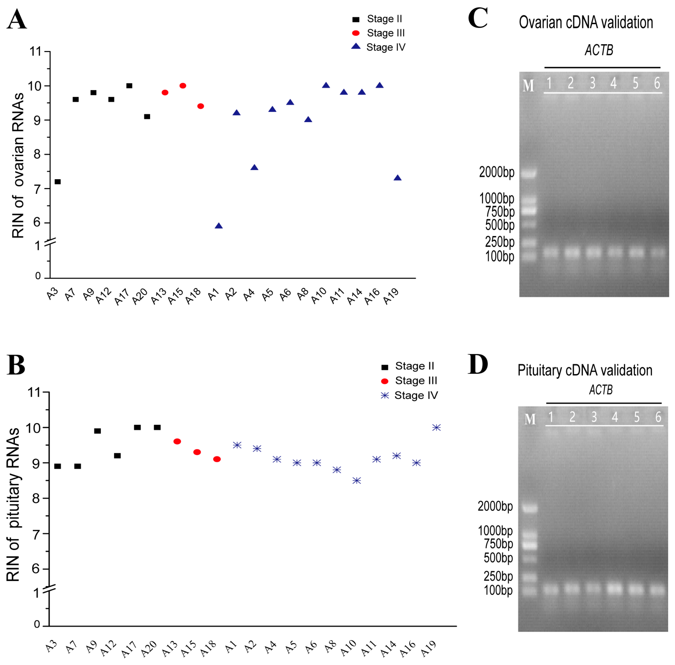 Fishes 08 00120 g002 Fishes 08 00120 g002