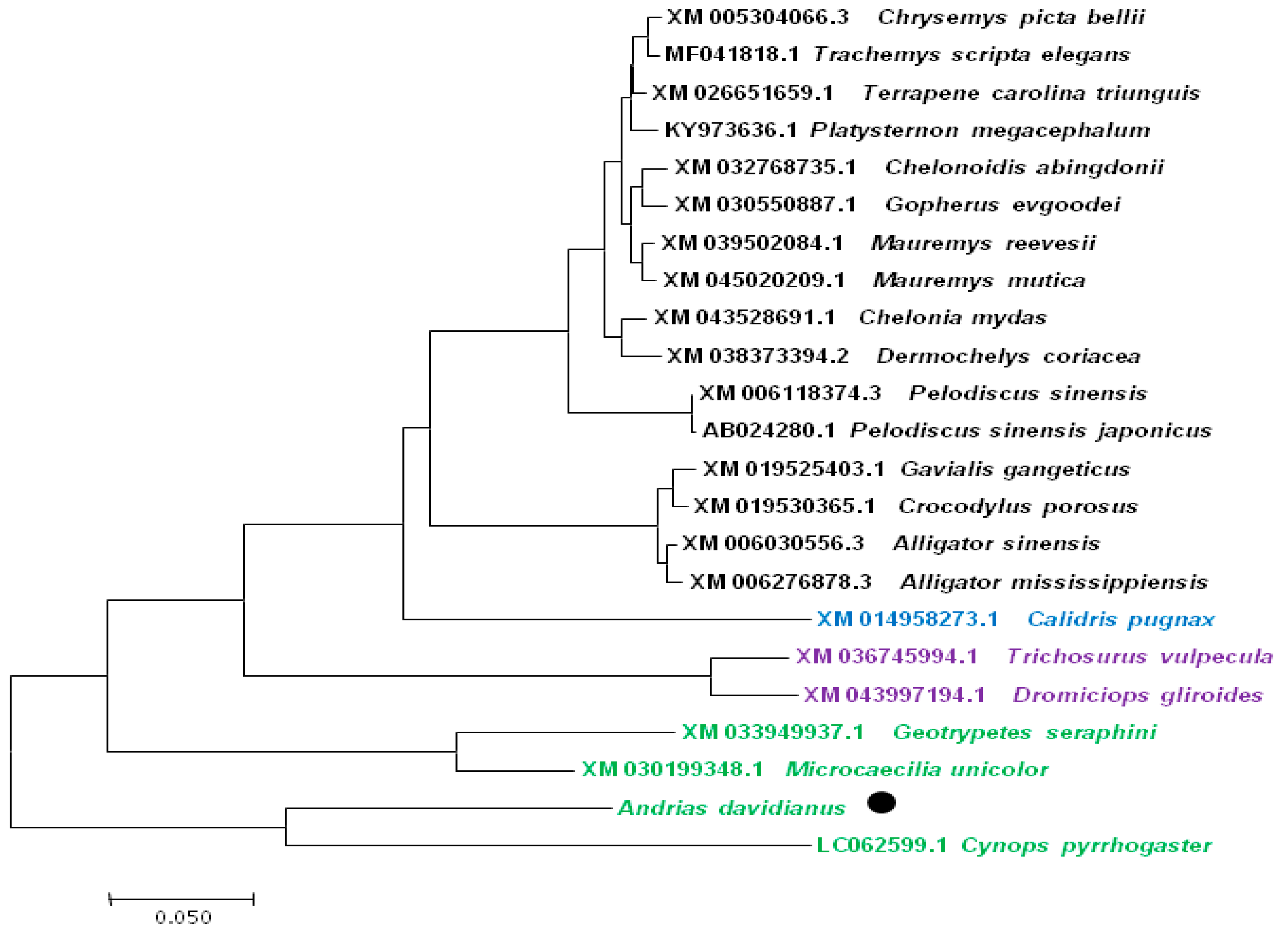 Fishes 08 00121 g010 Fishes 08 00121 g010