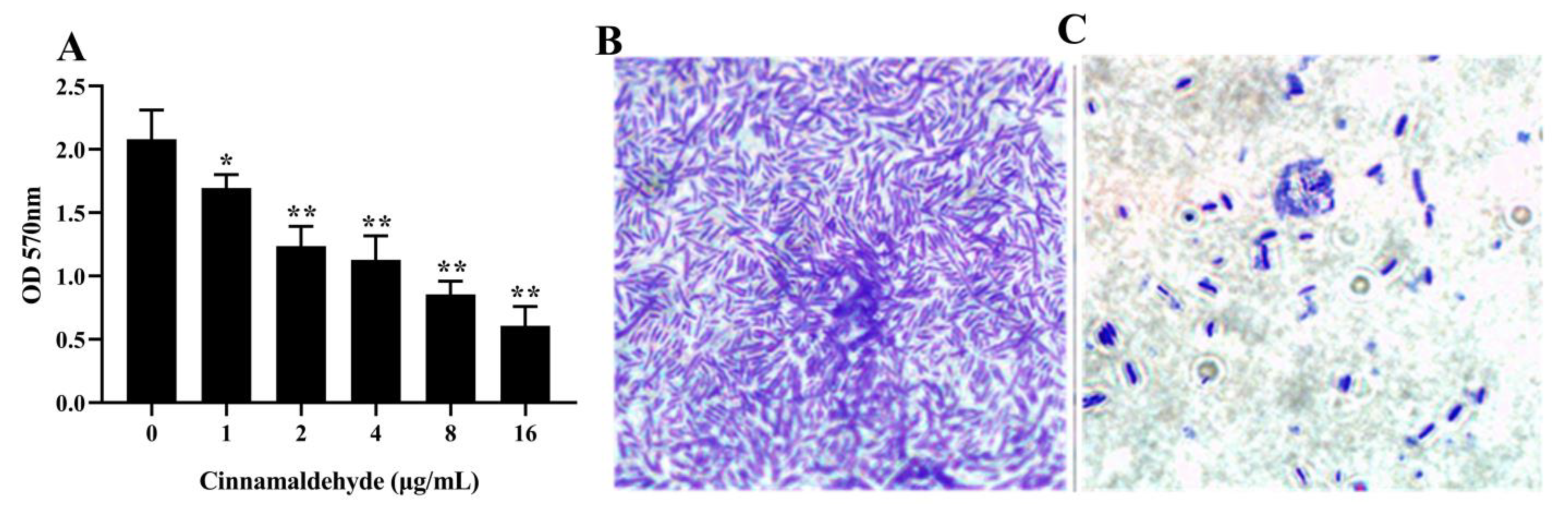 Fishes 08 00122 g004