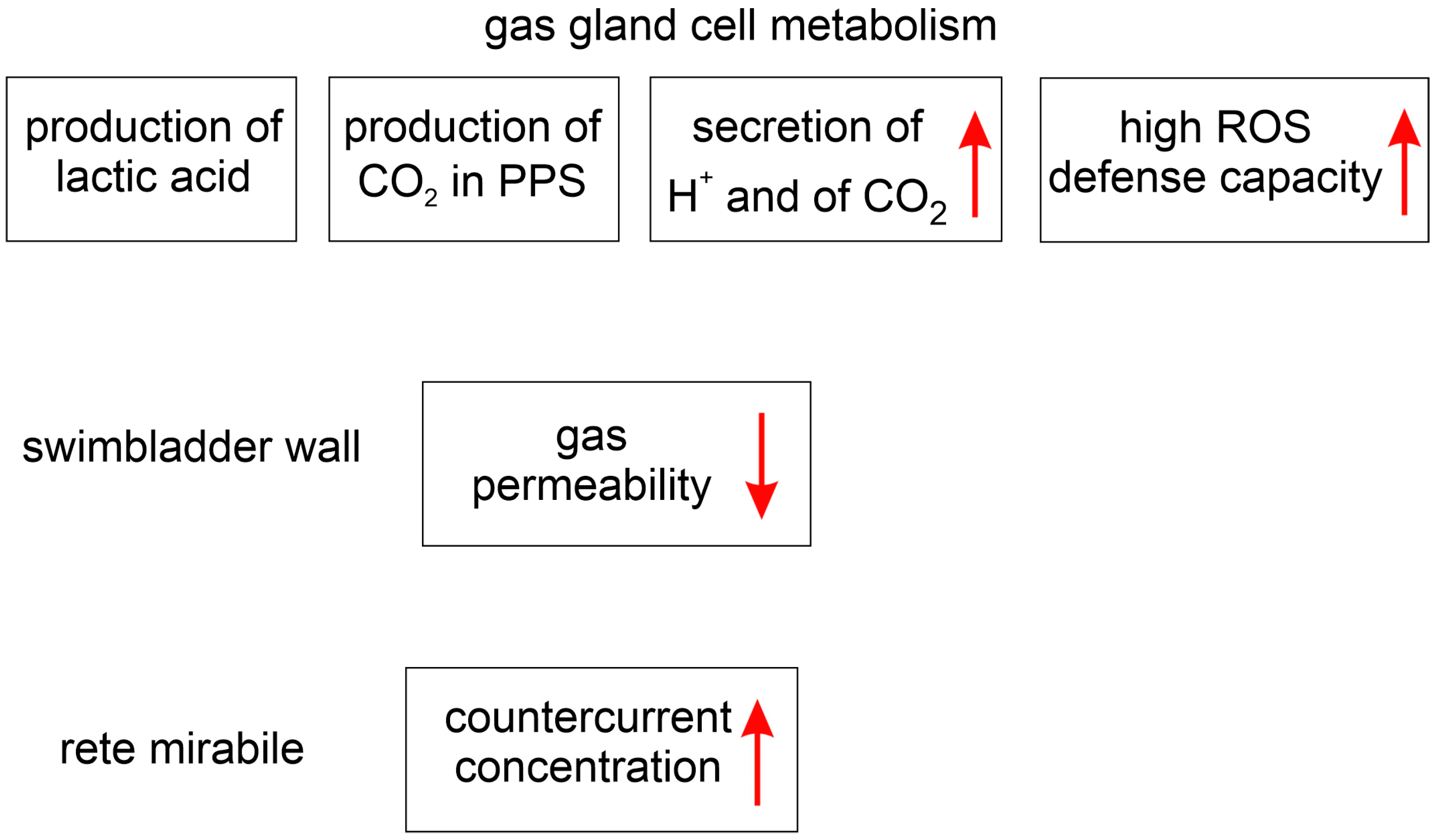 Fishes 08 00125 g003 Fishes 08 00125 g003