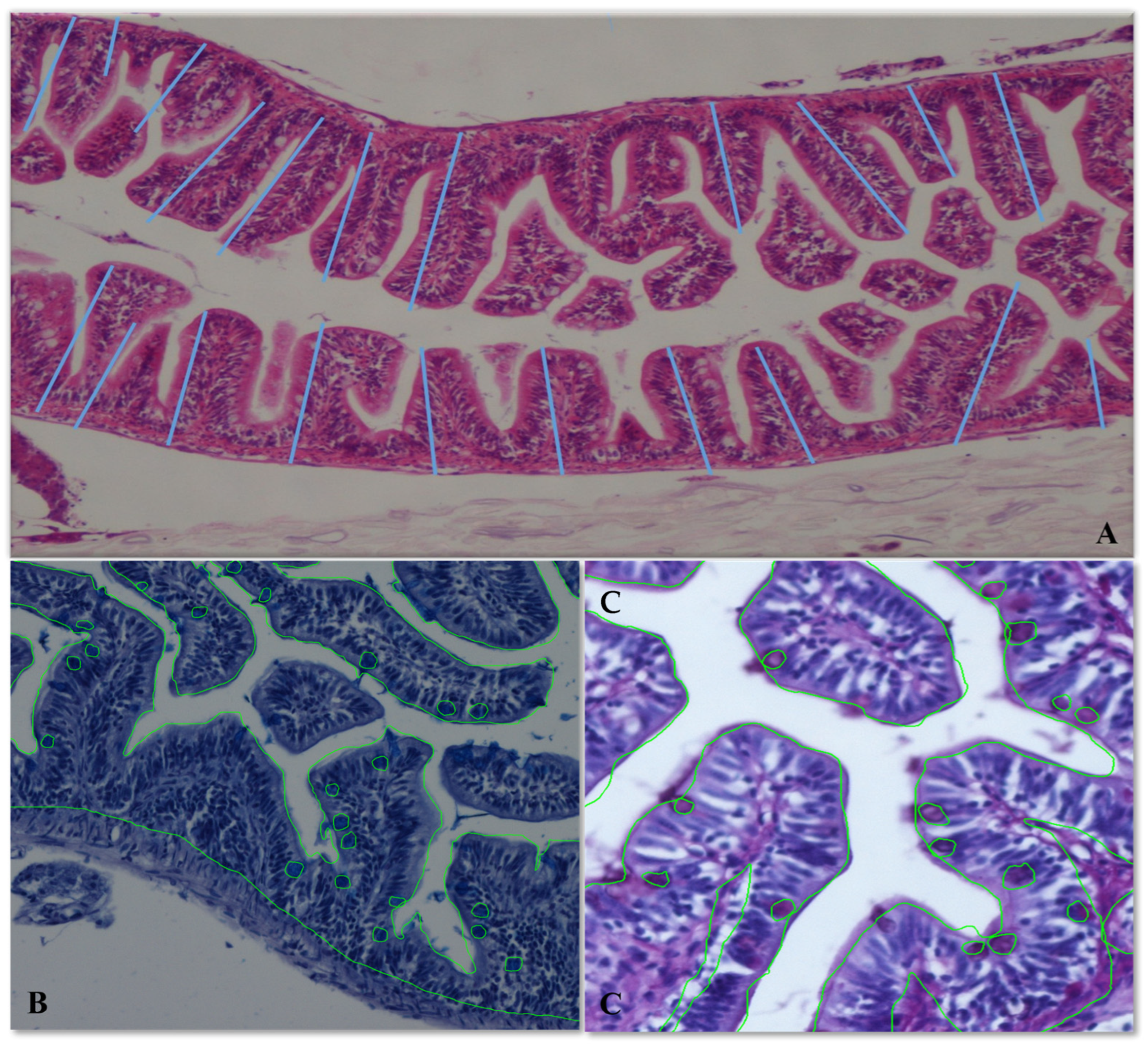 Fishes 08 00127 g001 Fishes 08 00127 g001