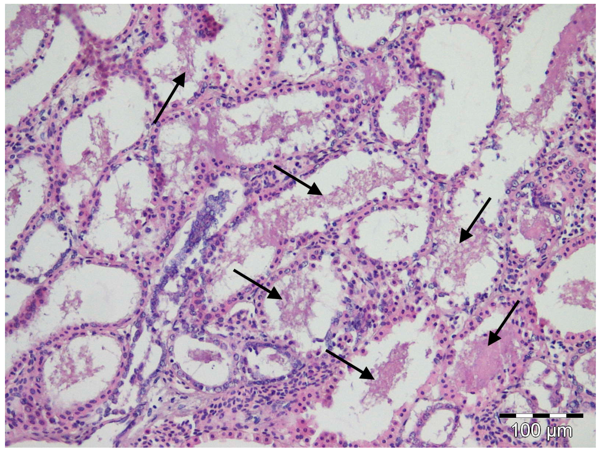 Fishes 08 00128 g002 Fishes 08 00128 g002