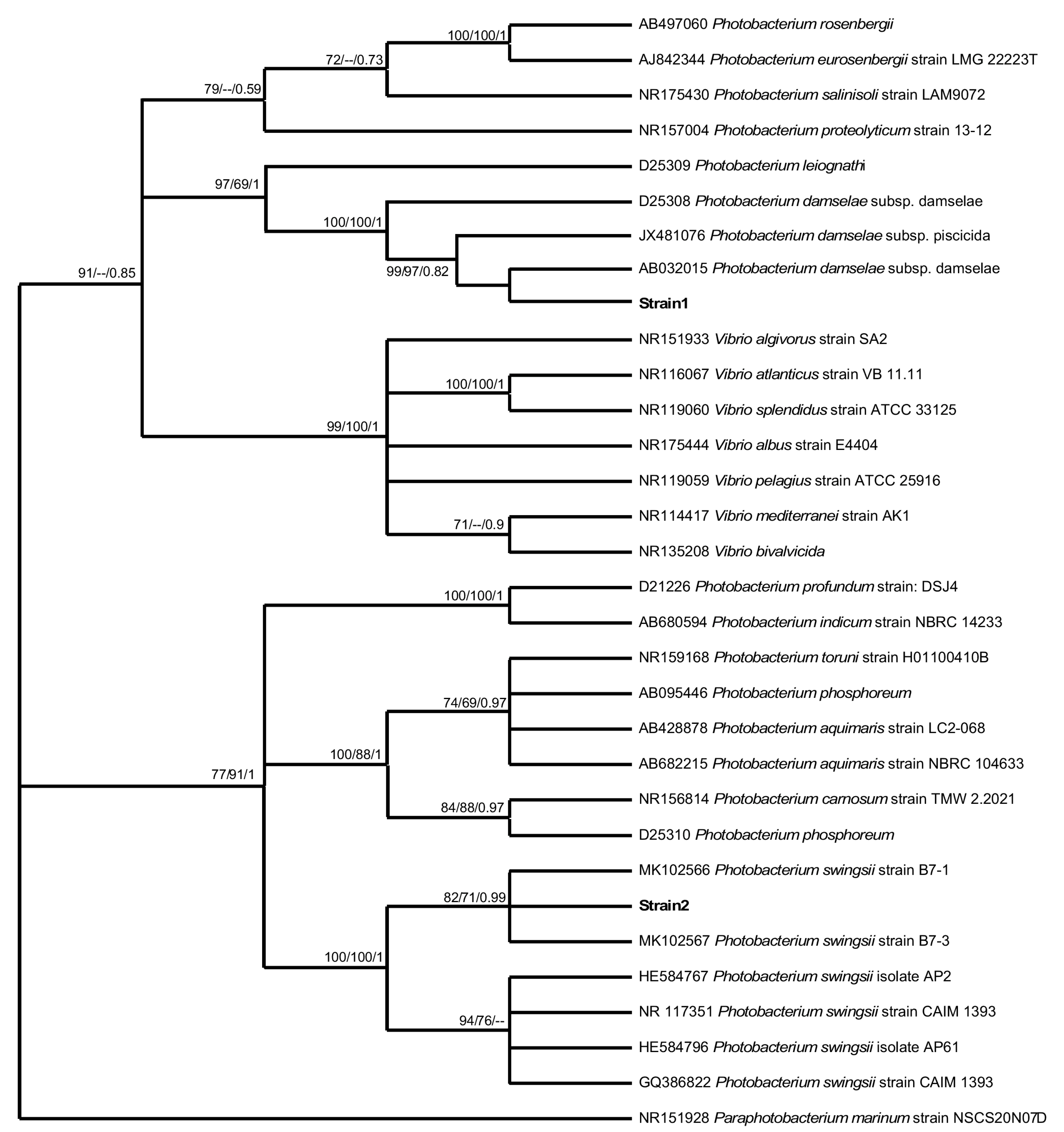 Fishes 08 00128 g003 Fishes 08 00128 g003