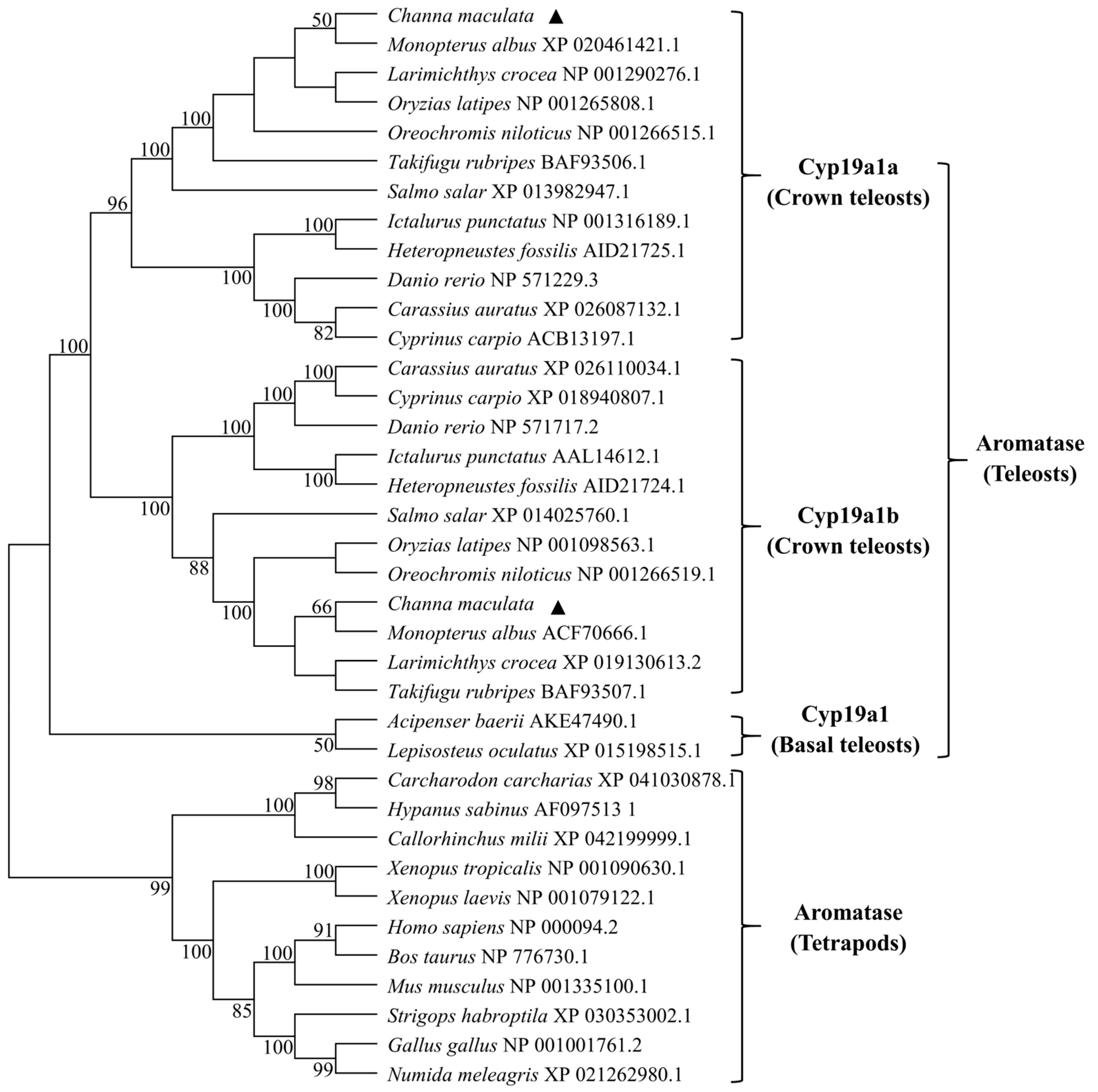 Fishes 08 00129 g001