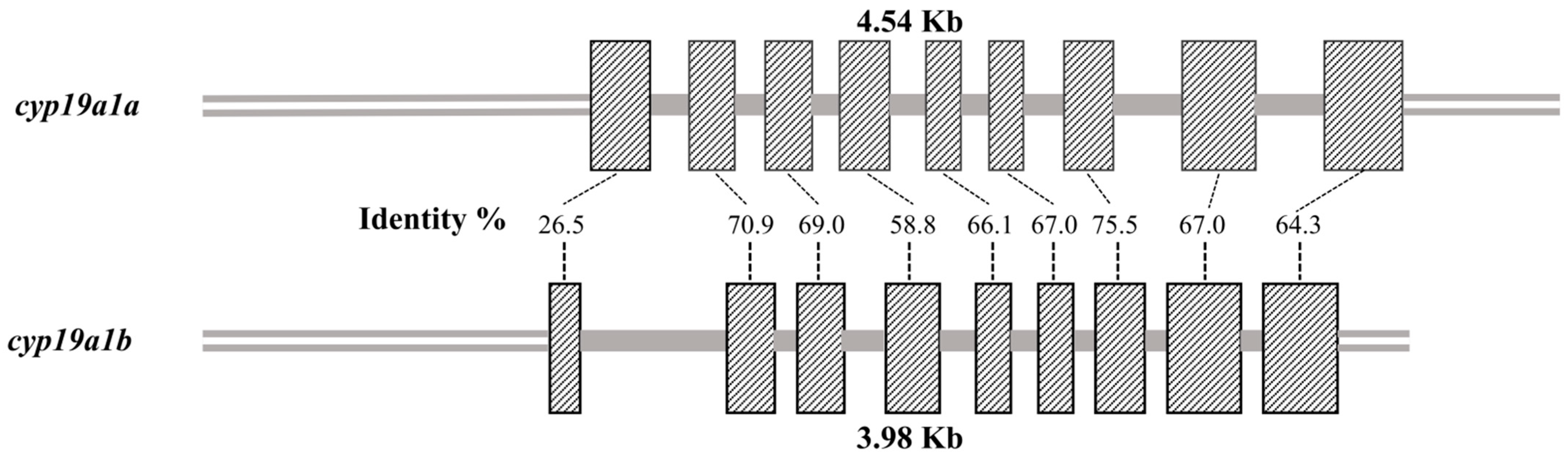 Fishes 08 00129 g002
