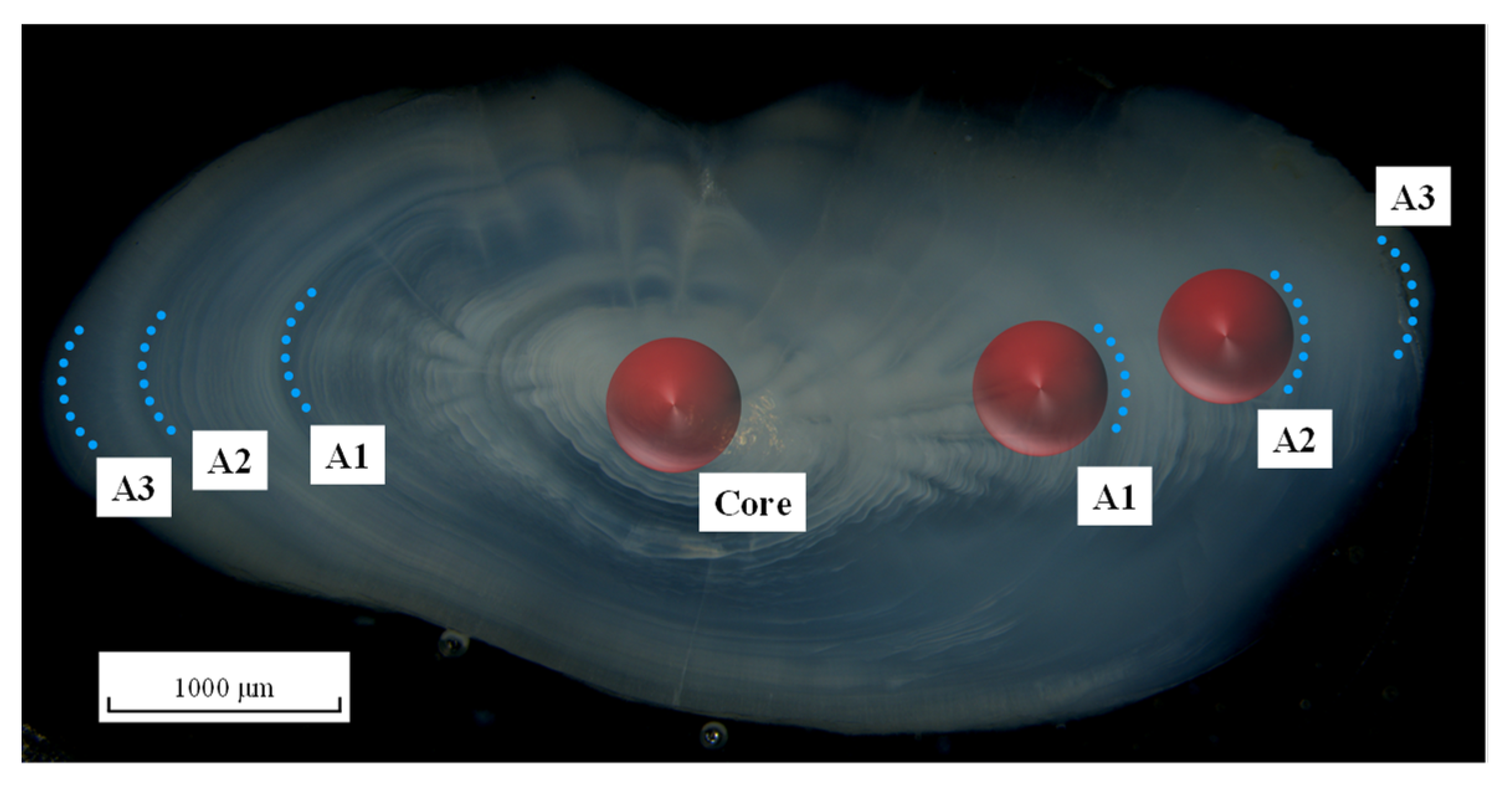 Fishes 08 00133 g002 Fishes 08 00133 g002