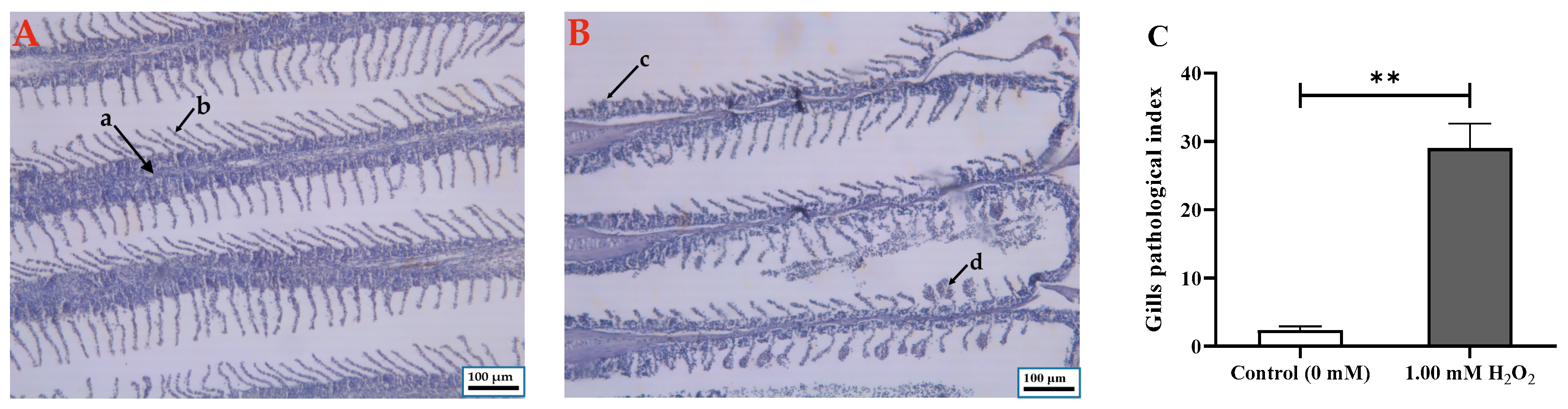 Fishes 08 00134 g002