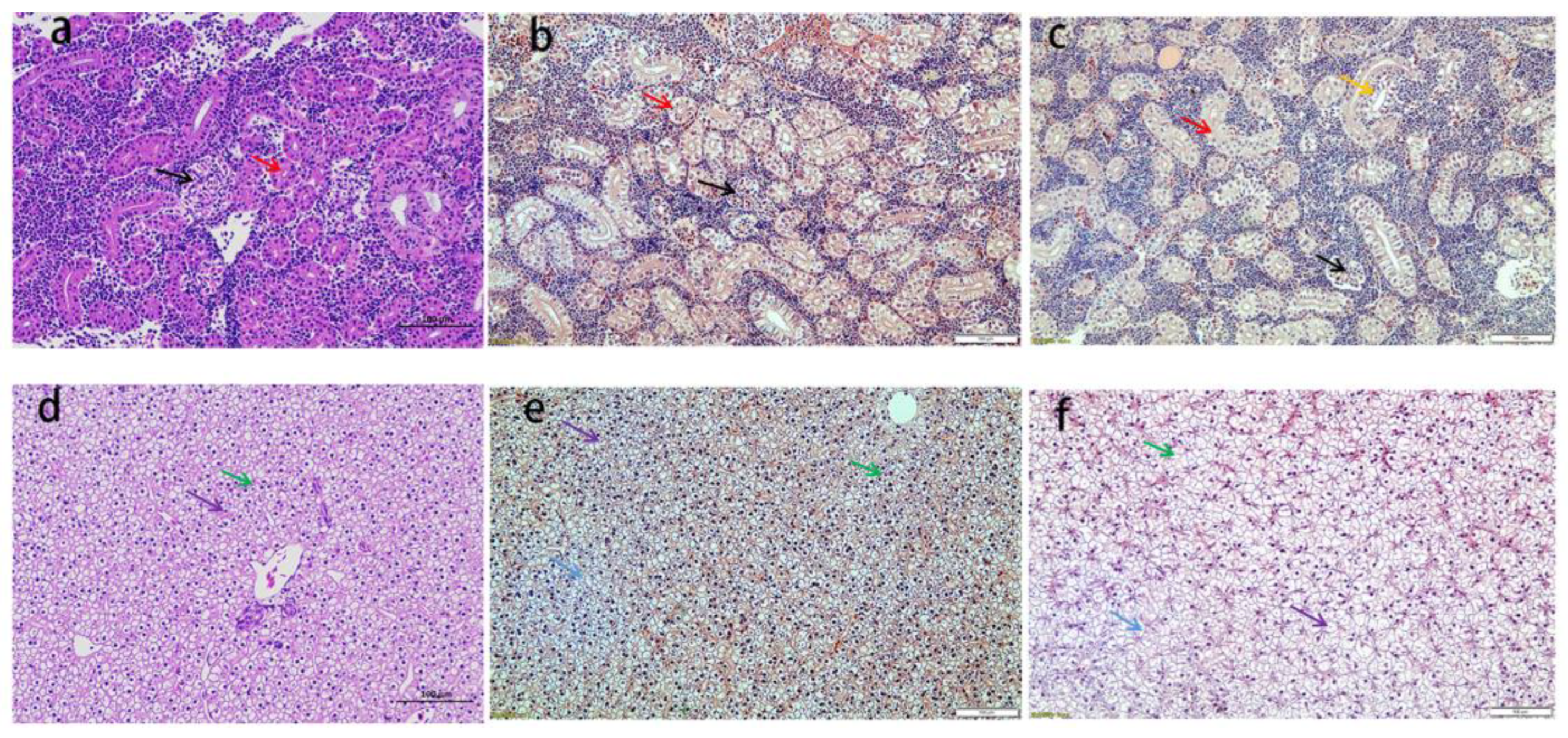 Fishes 08 00136 g001 Fishes 08 00136 g001