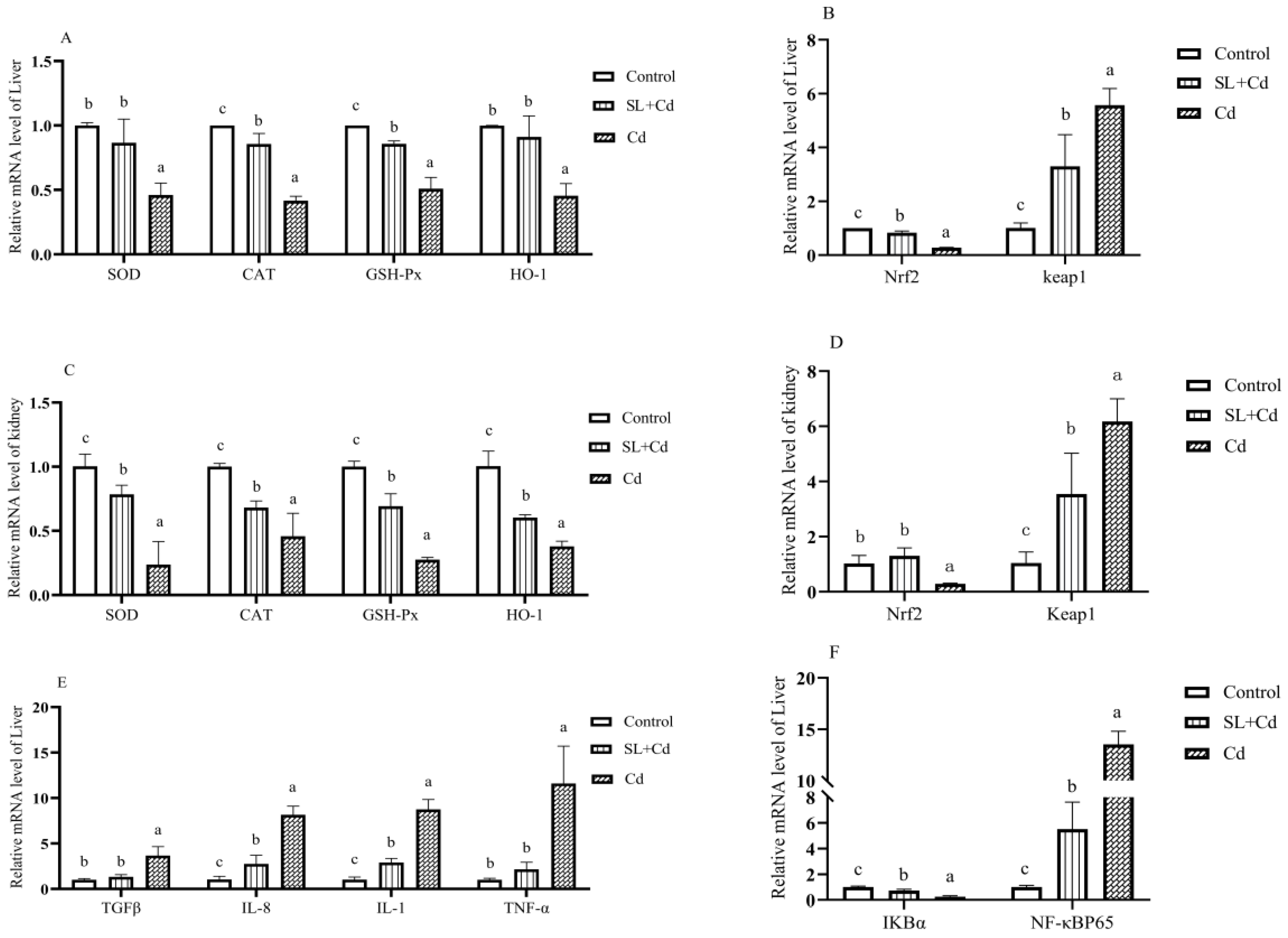 Fishes 08 00136 g006 Fishes 08 00136 g006