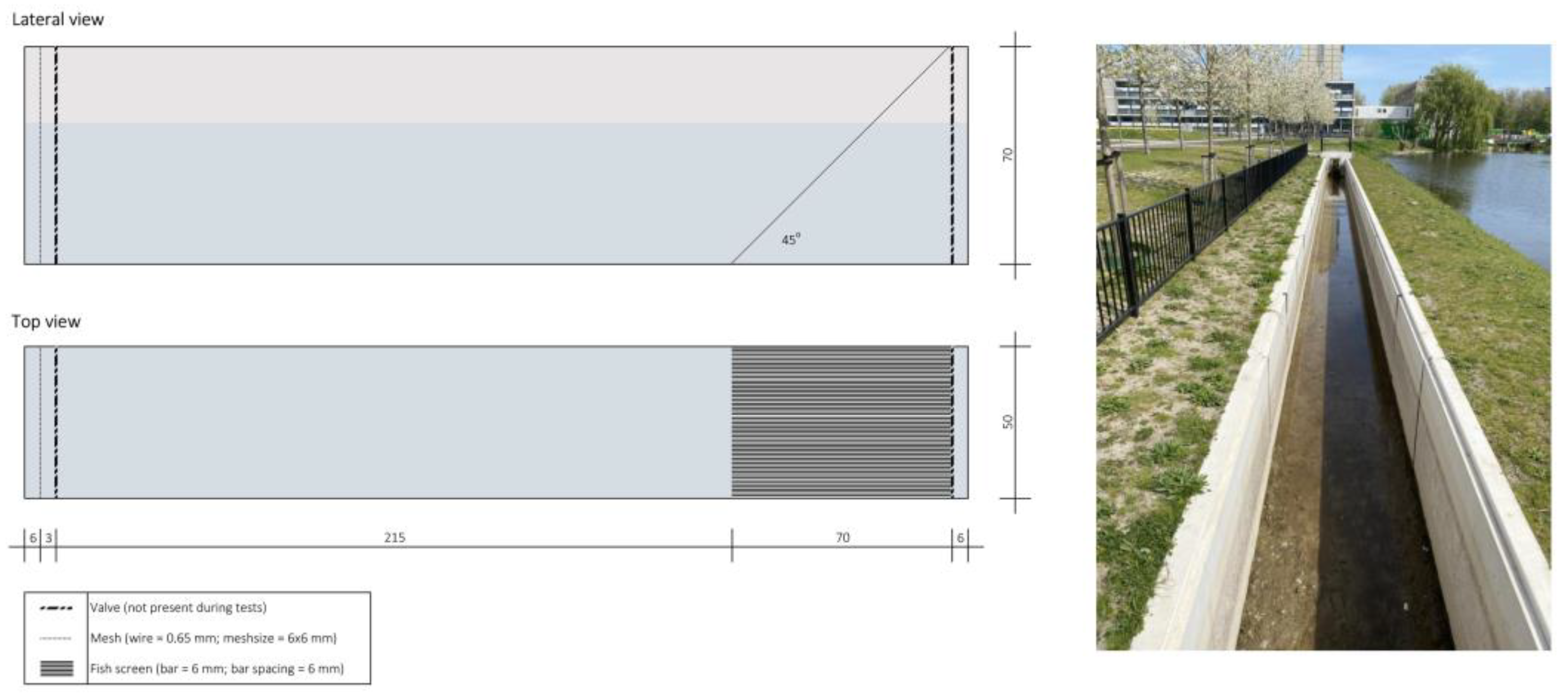 Fishes 08 00139 g001 Fishes 08 00139 g001