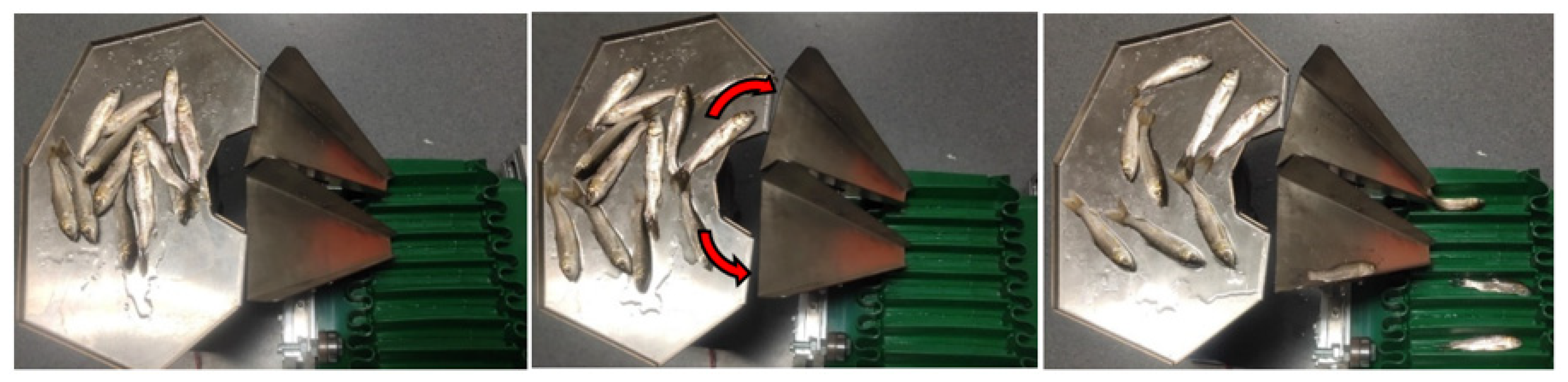 Fishes 08 00143 g009