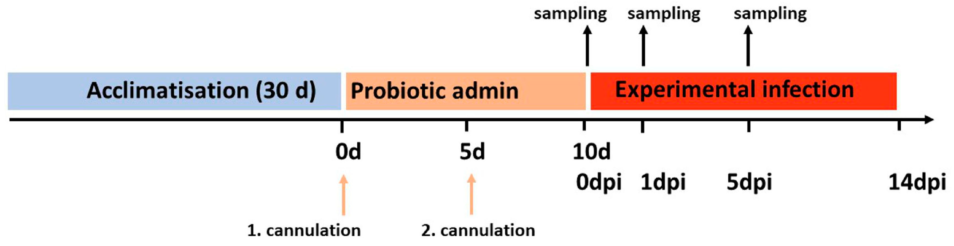 Fishes 08 00144 g001 Fishes 08 00144 g001