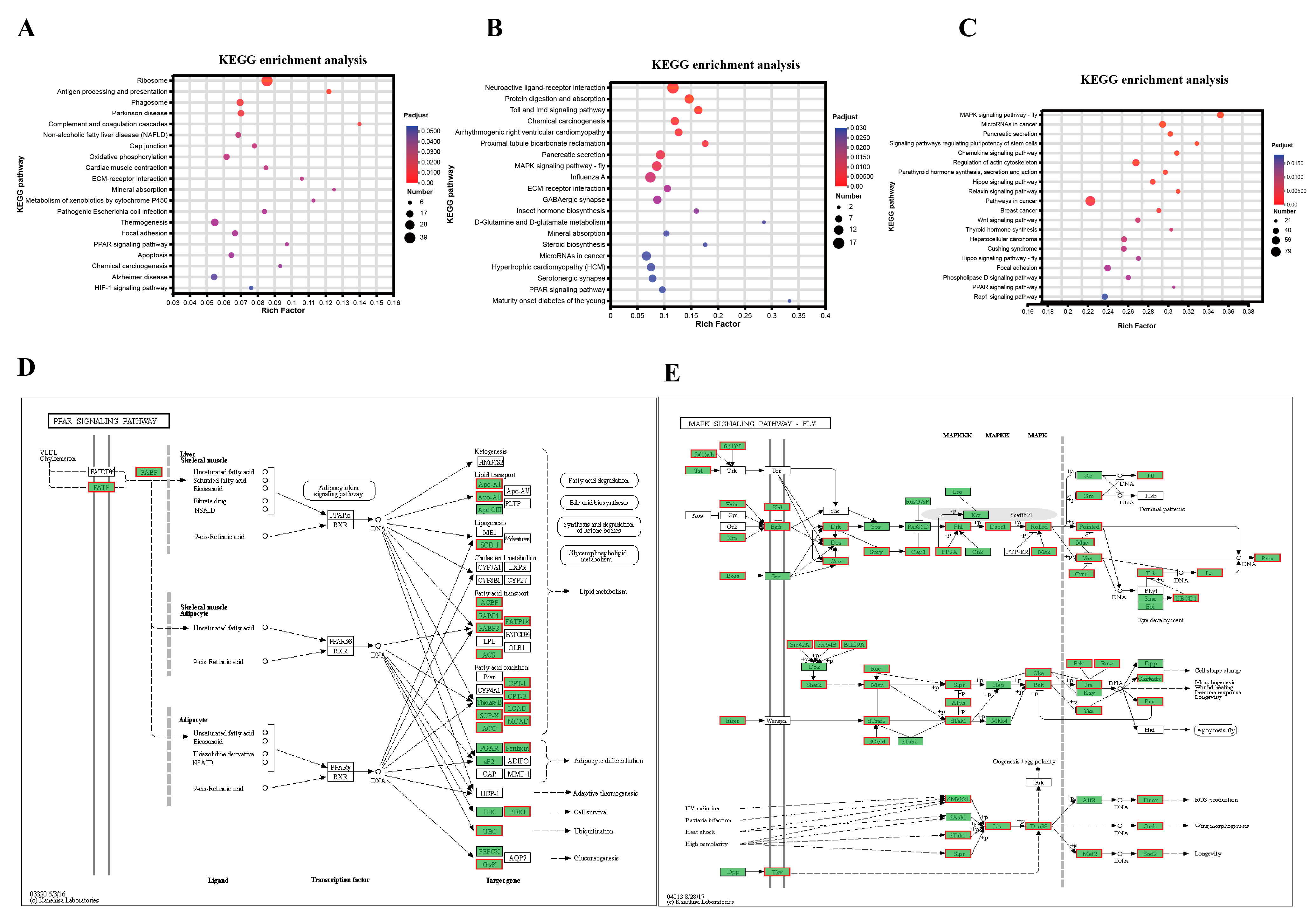 Fishes 08 00145 g006