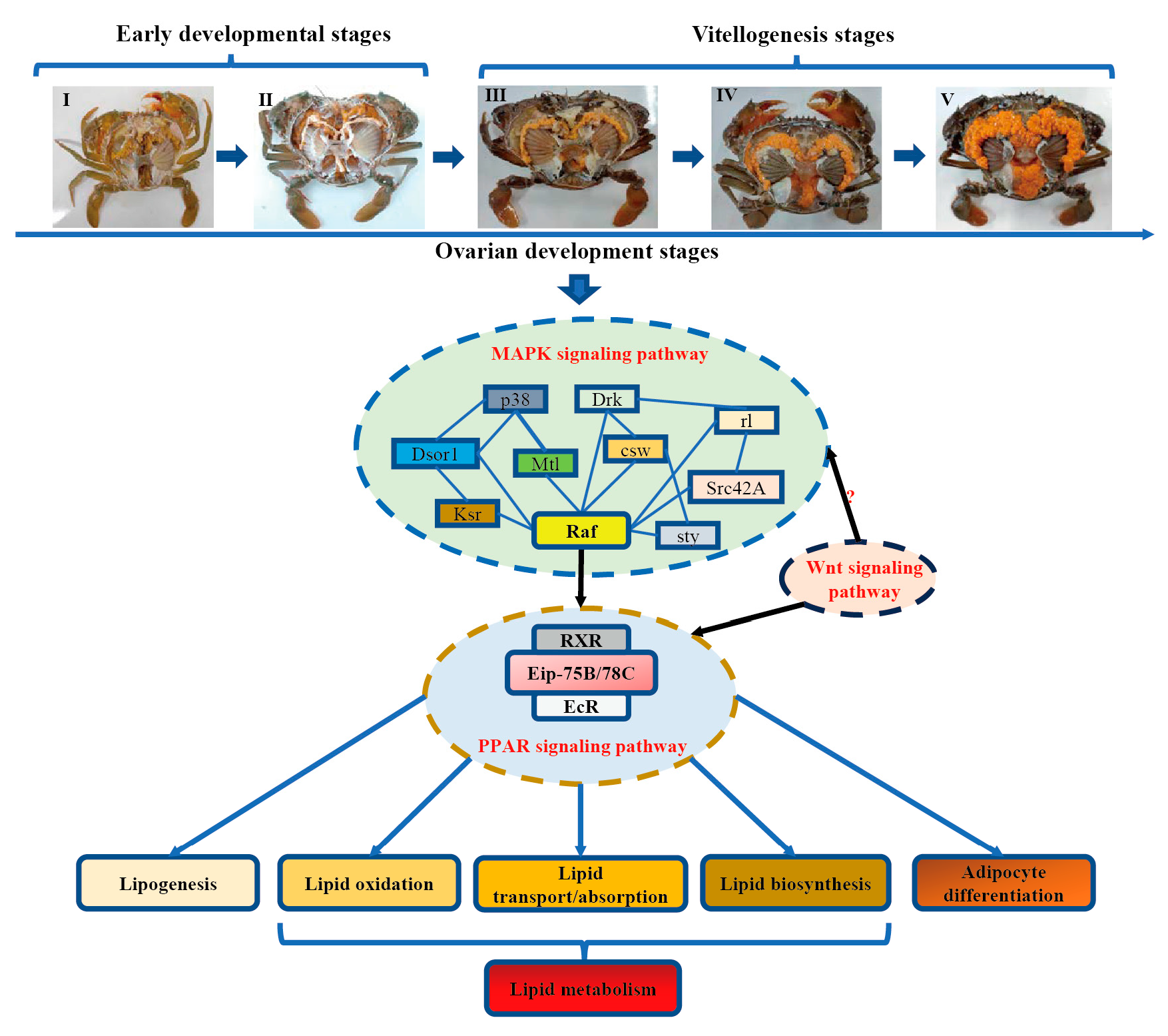 Fishes 08 00145 g009