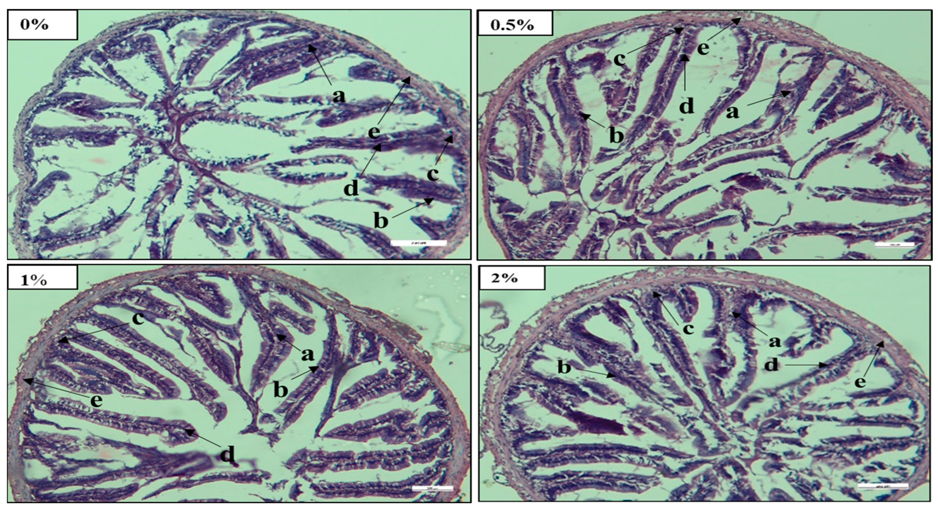 Fishes 08 00147 g001
