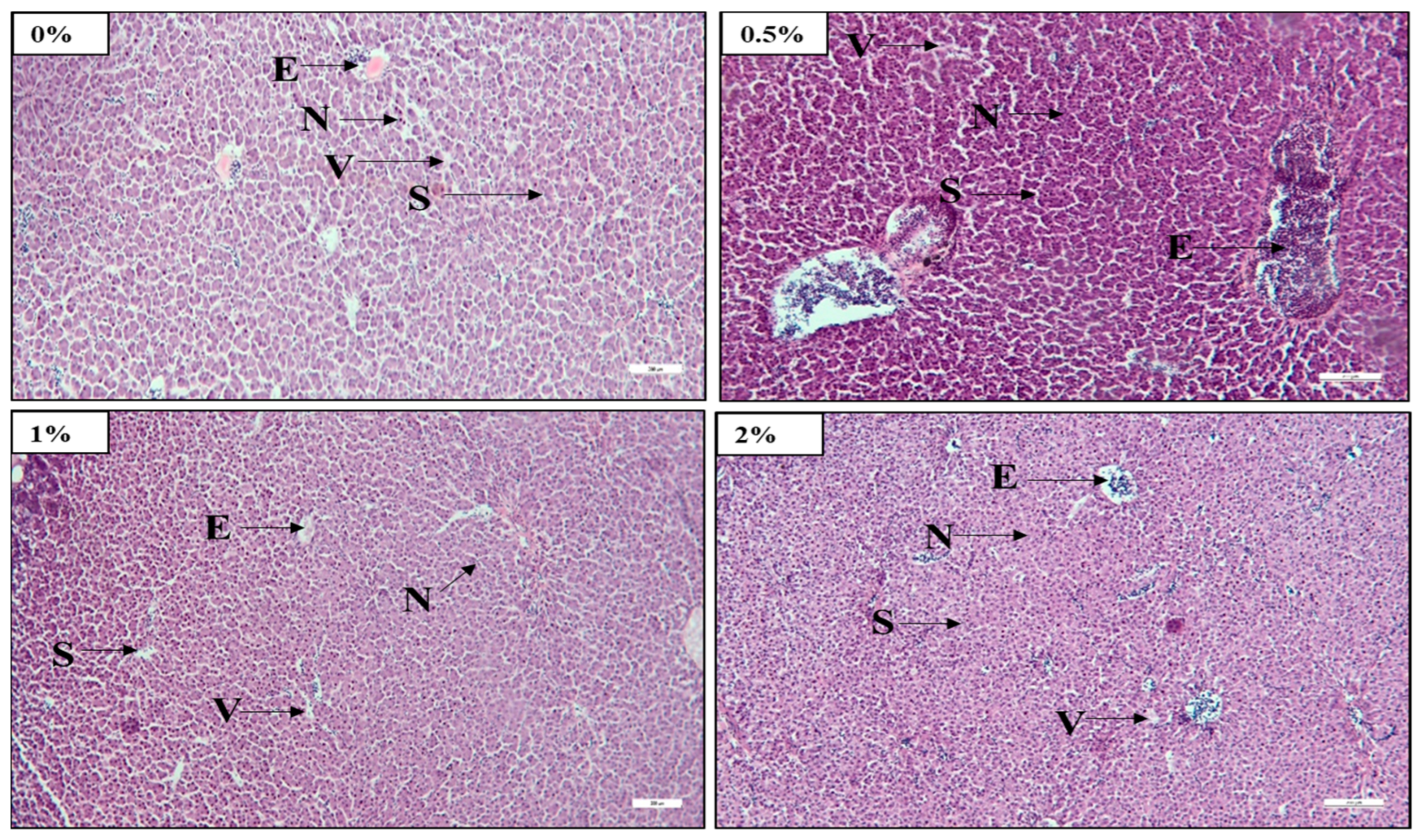 Fishes 08 00147 g002