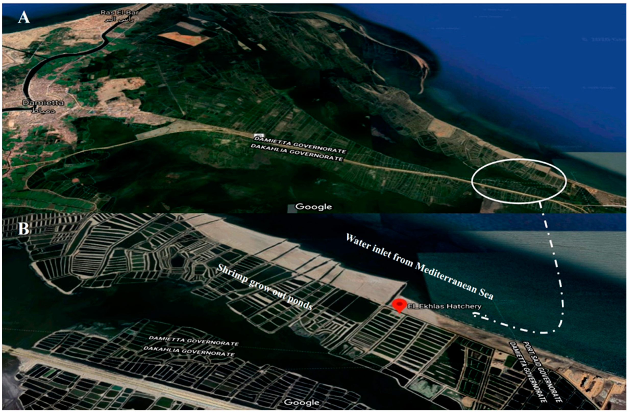 Fishes 08 00148 g001 Fishes 08 00148 g001