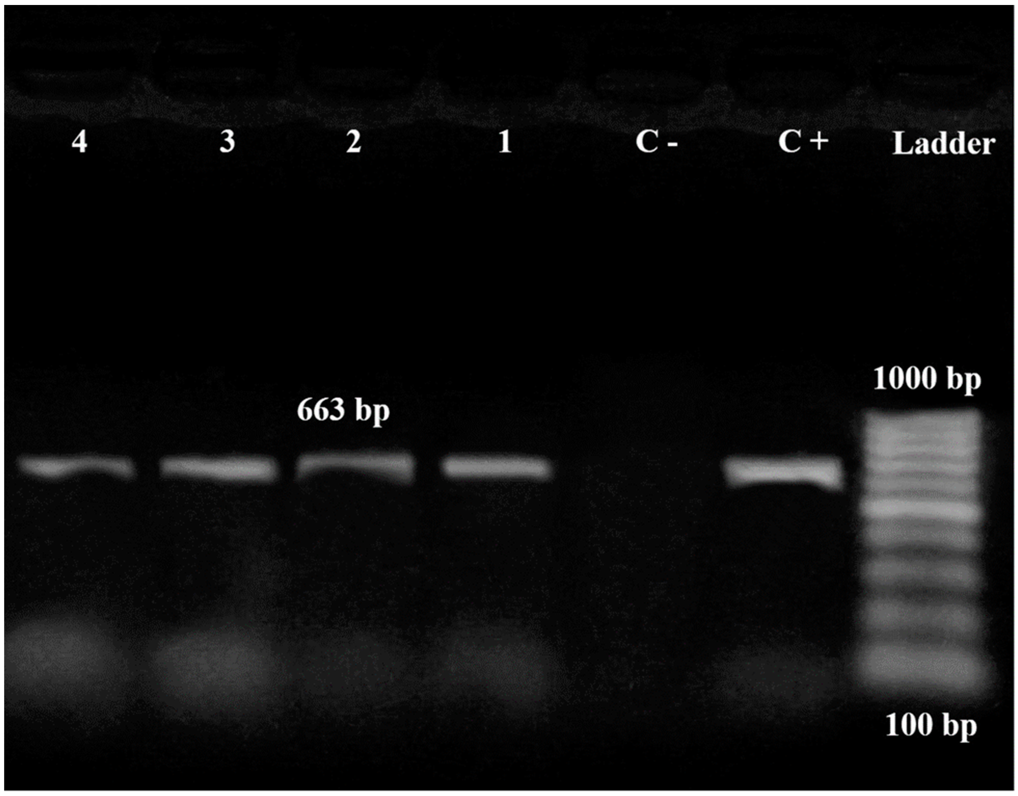 Fishes 08 00148 g003 Fishes 08 00148 g003