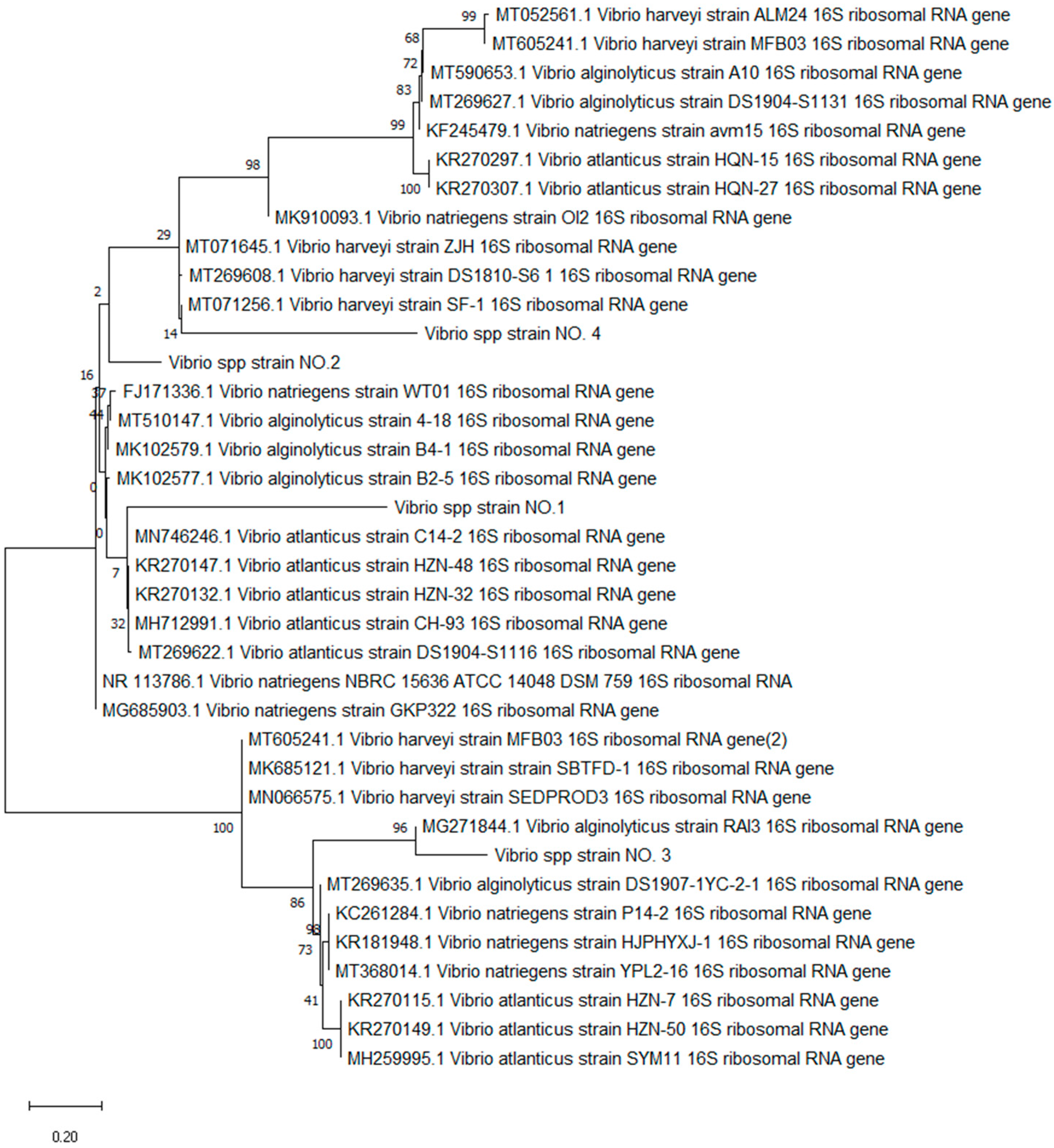 Fishes 08 00148 g004 Fishes 08 00148 g004