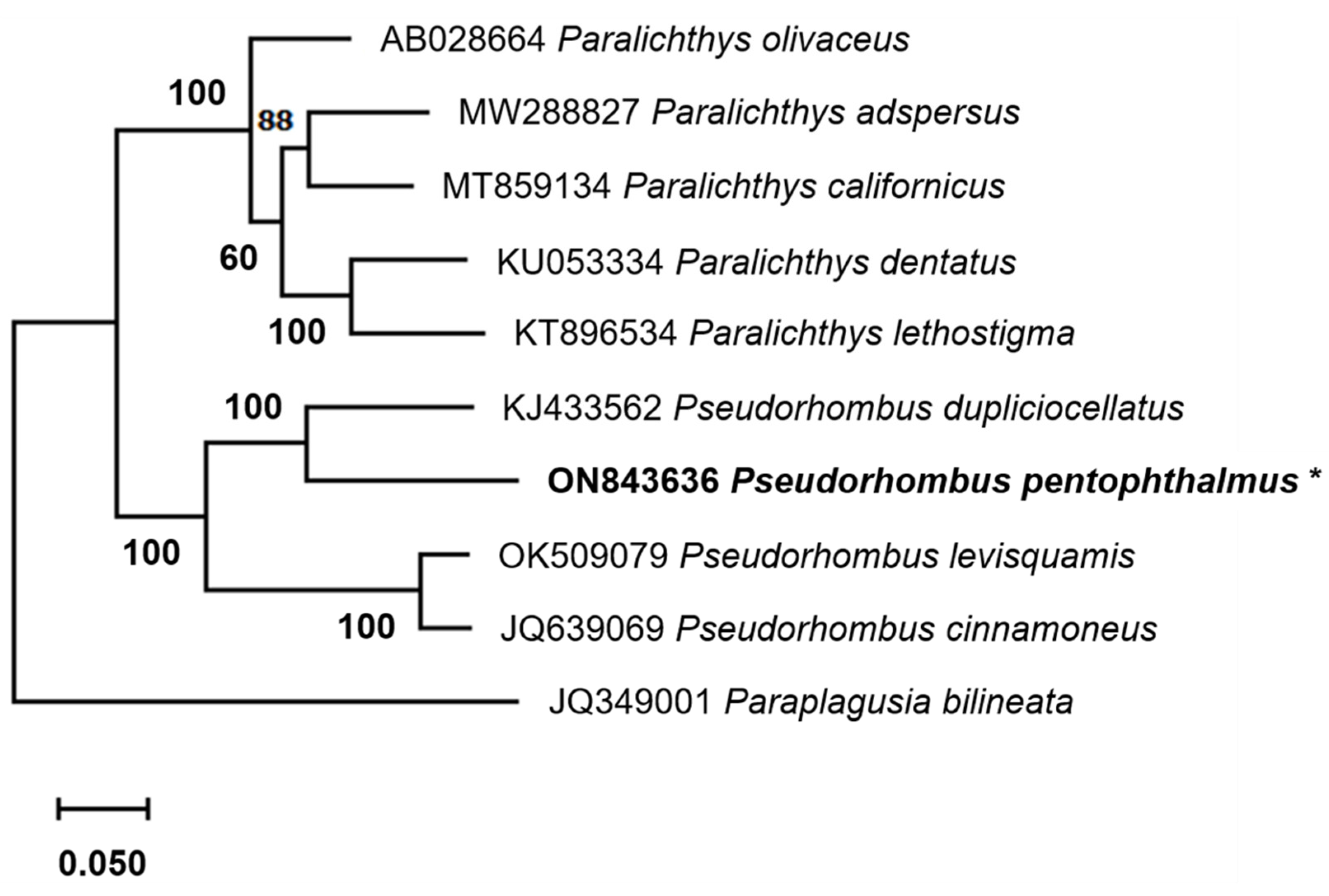 Fishes 08 00150 g002 Fishes 08 00150 g002
