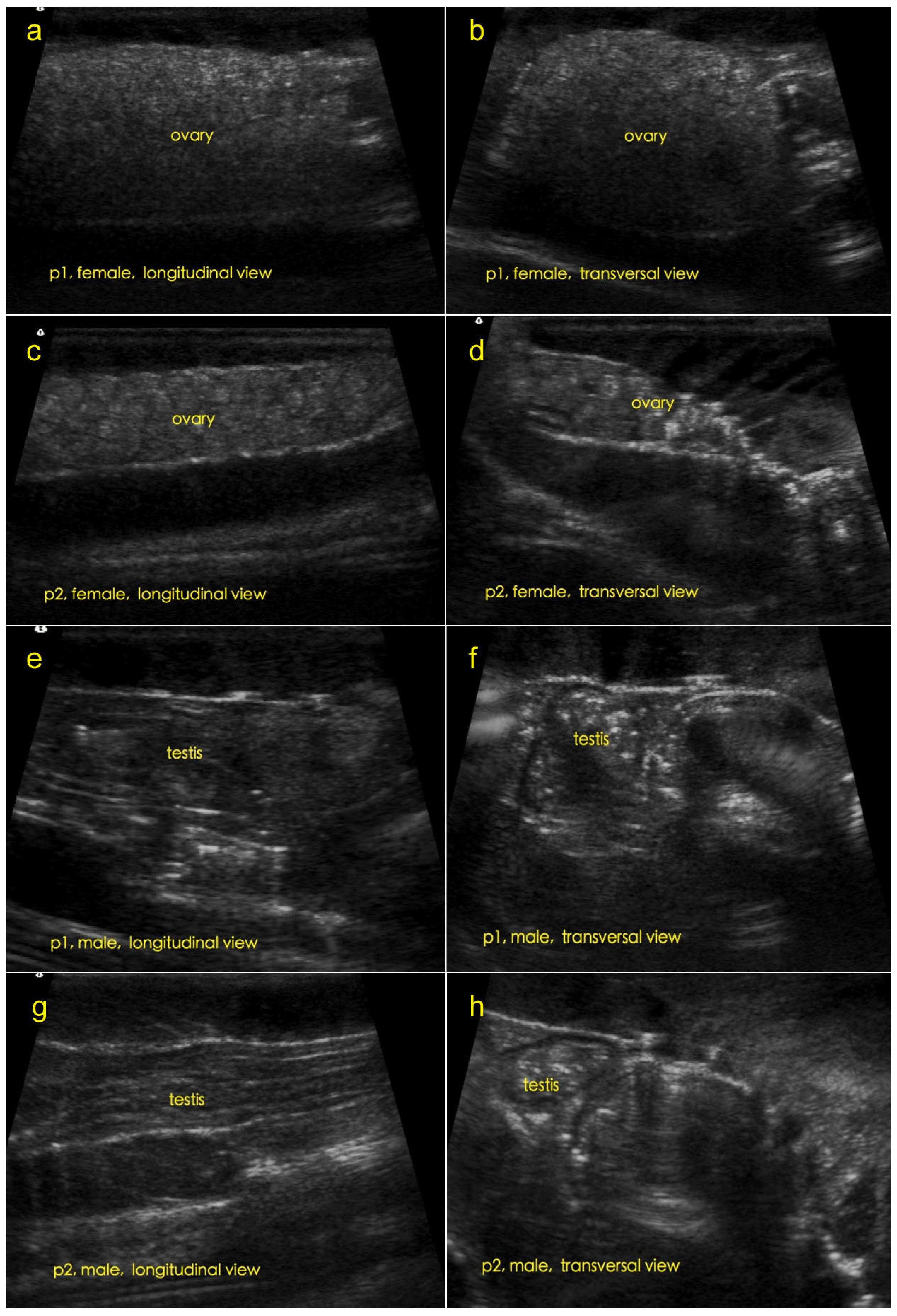 Fishes 08 00152 g002