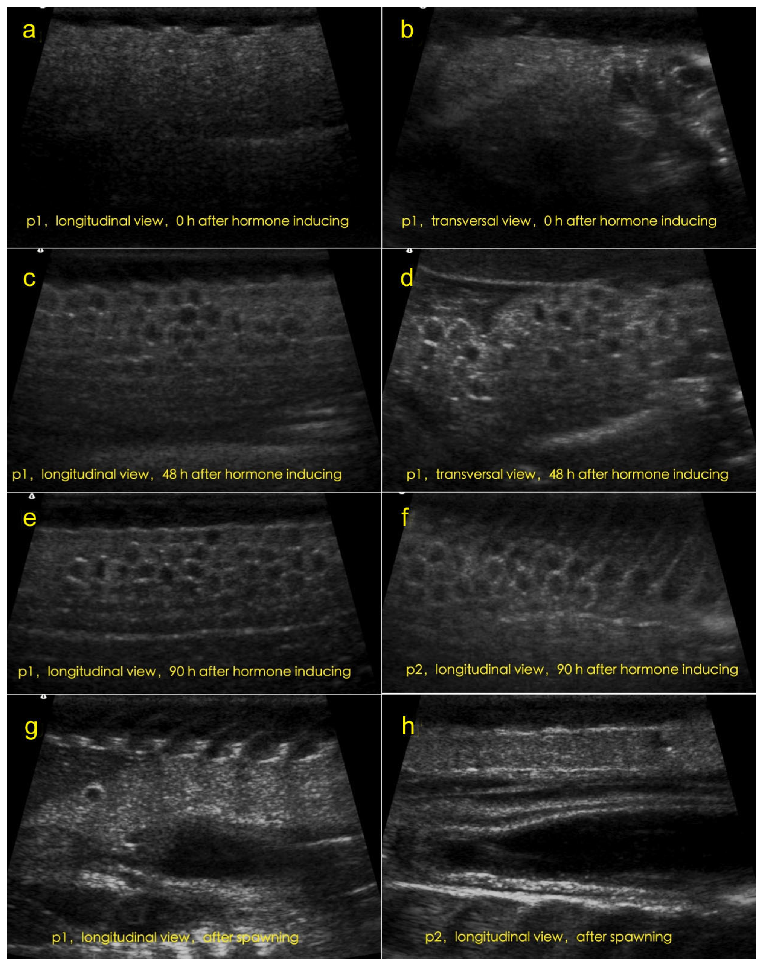 Fishes 08 00152 g003