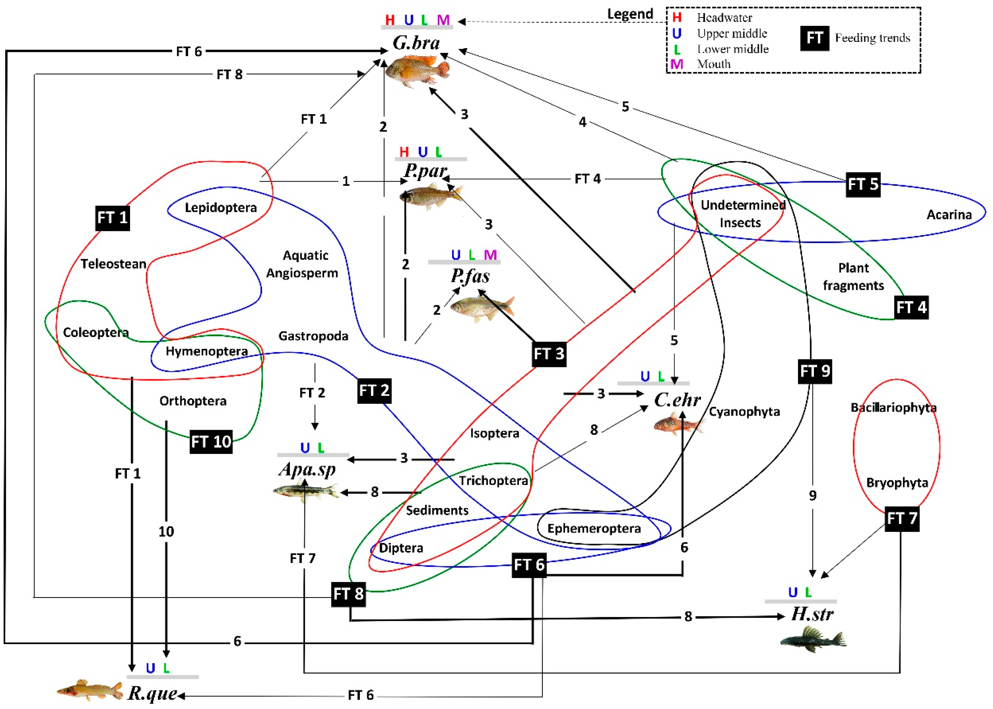 Fishes 08 00157 g007 Fishes 08 00157 g007