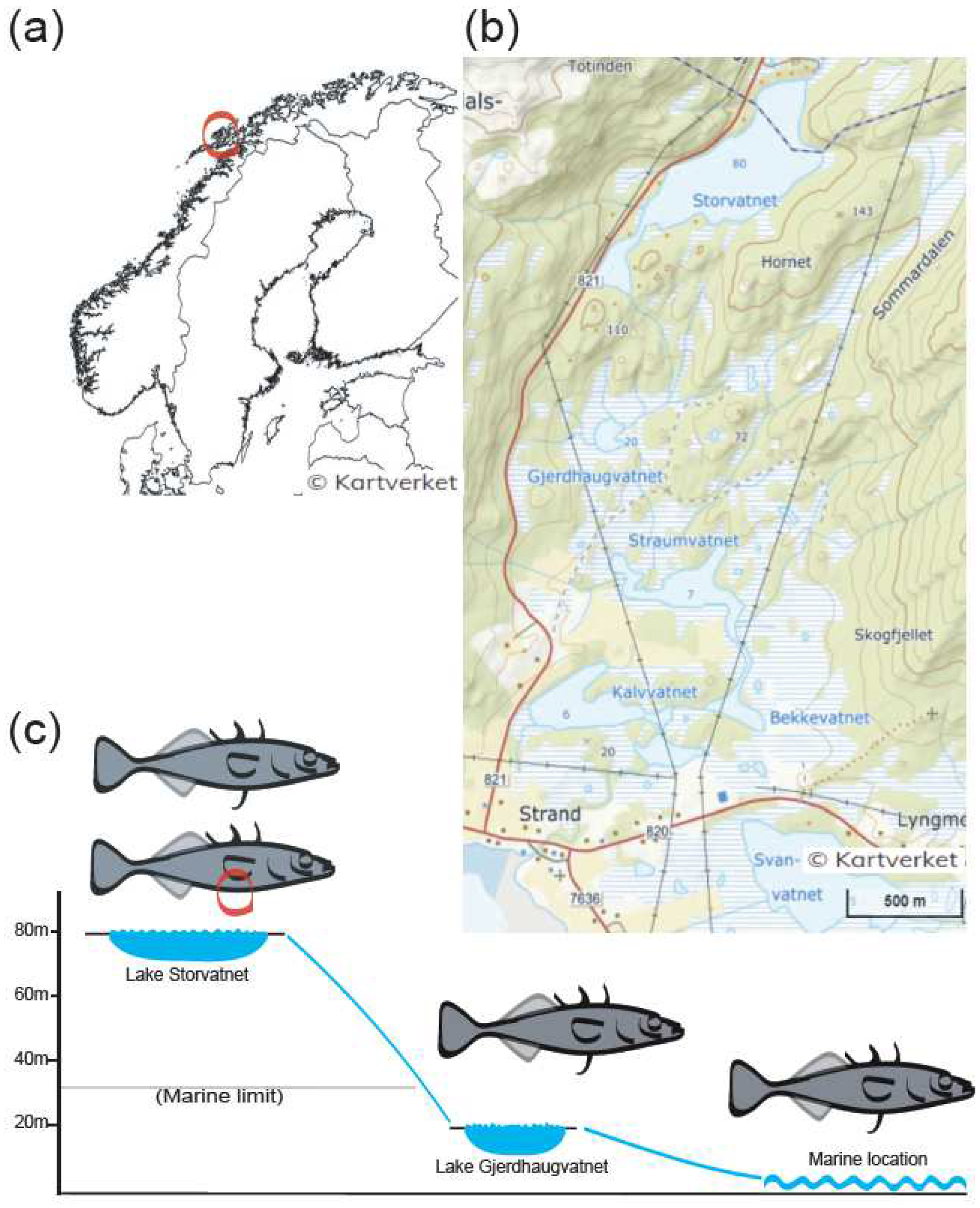 Fishes 08 00164 g002 Fishes 08 00164 g002