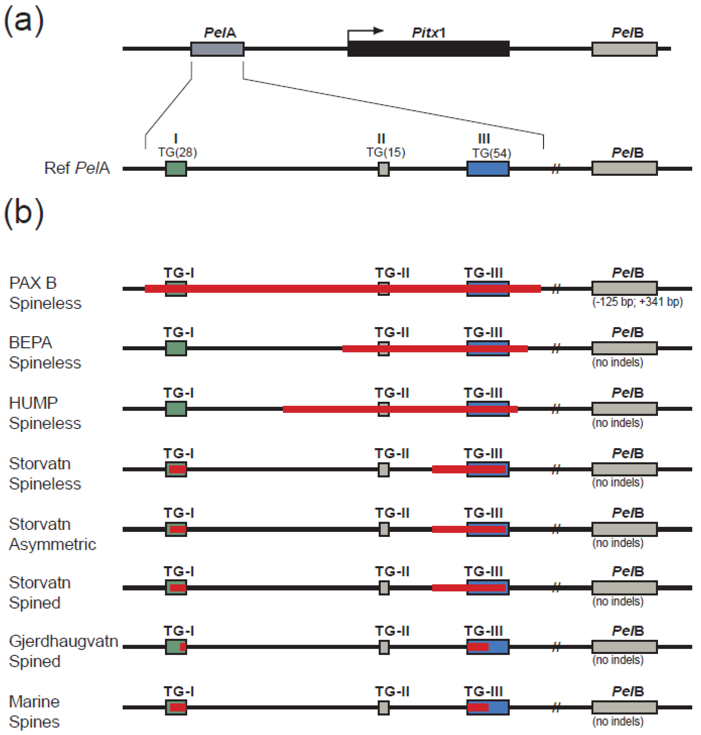 Fishes 08 00164 g005 Fishes 08 00164 g005
