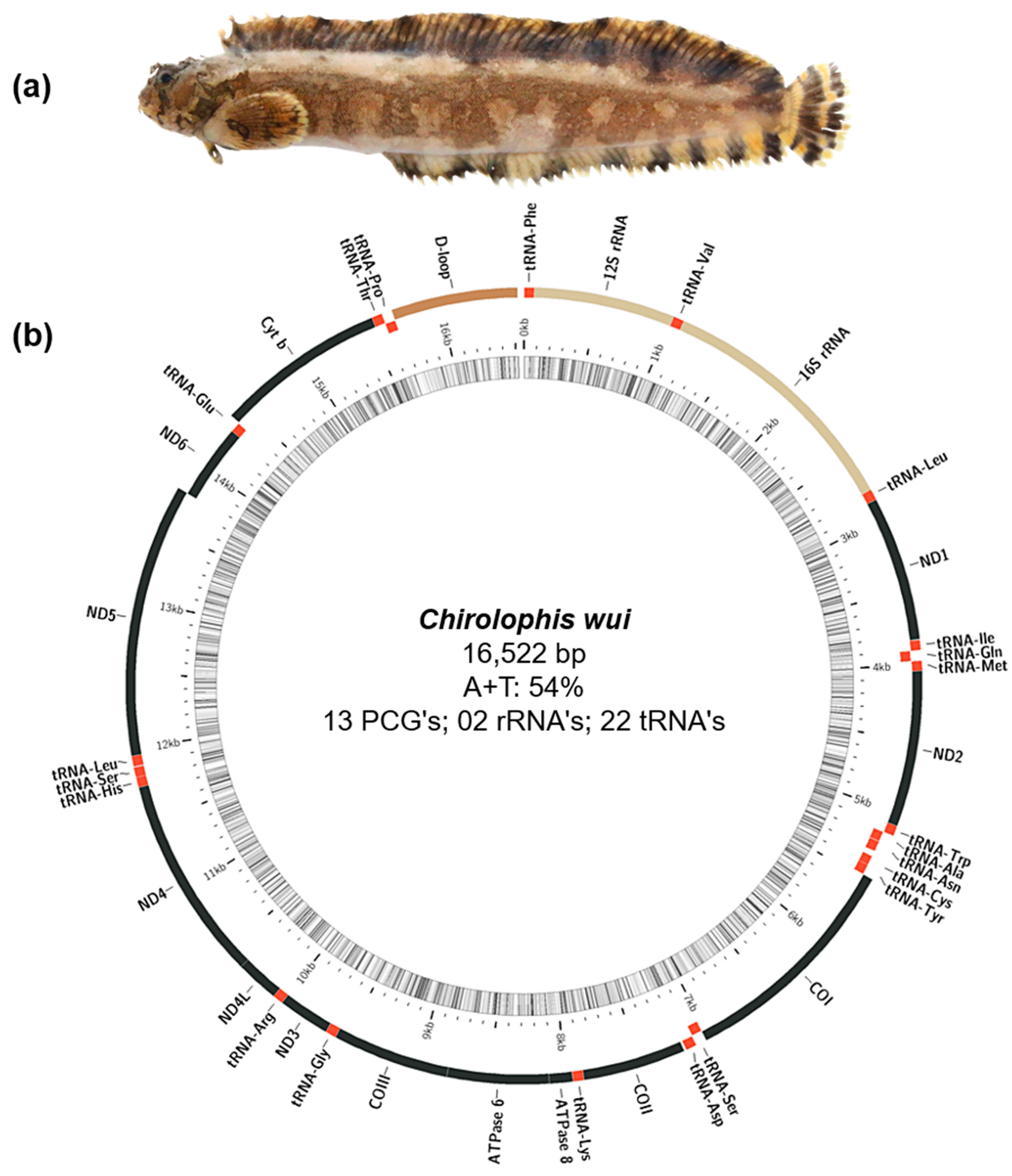 Fishes 08 00165 g002