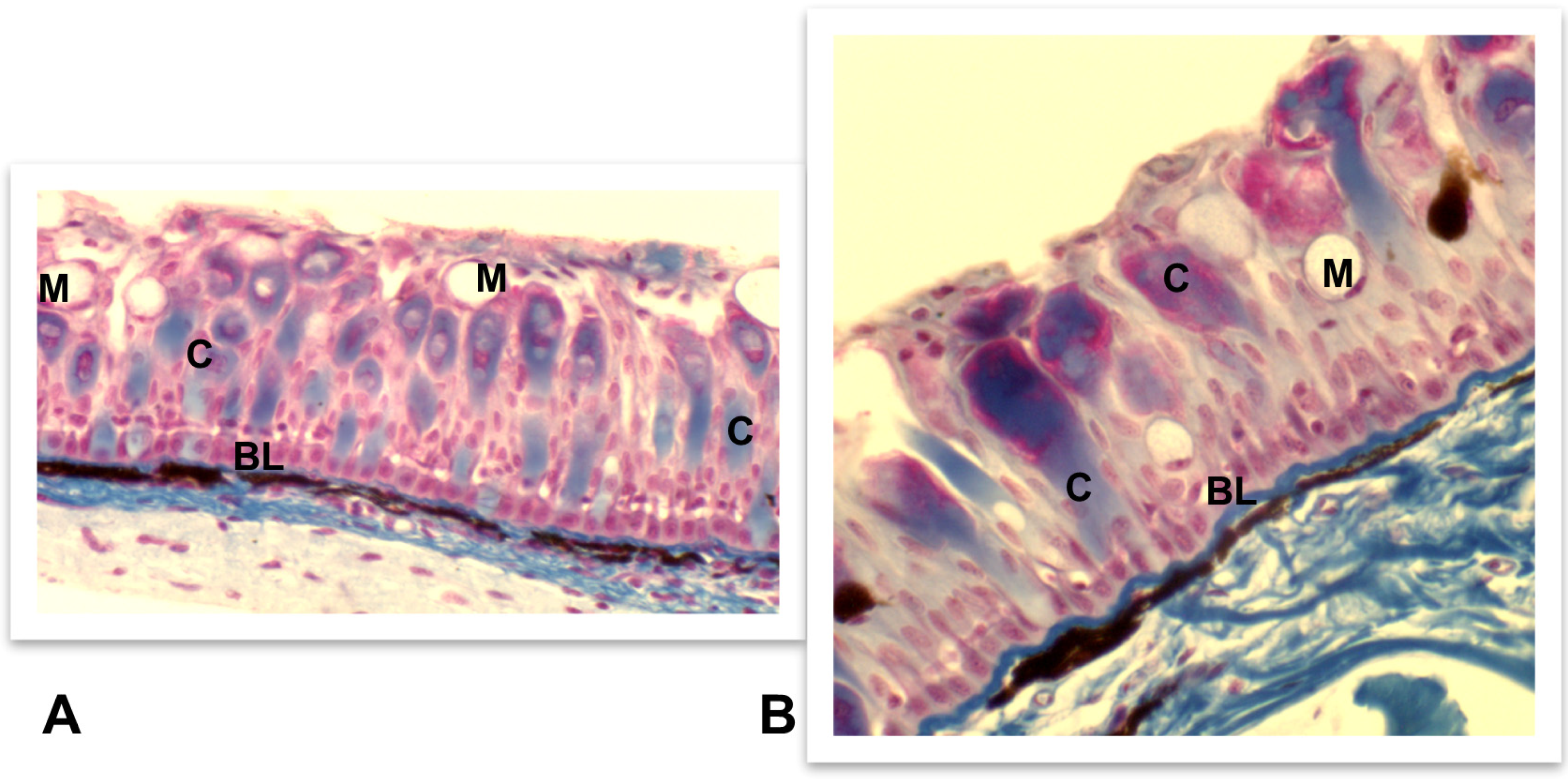 Fishes 08 00166 g001